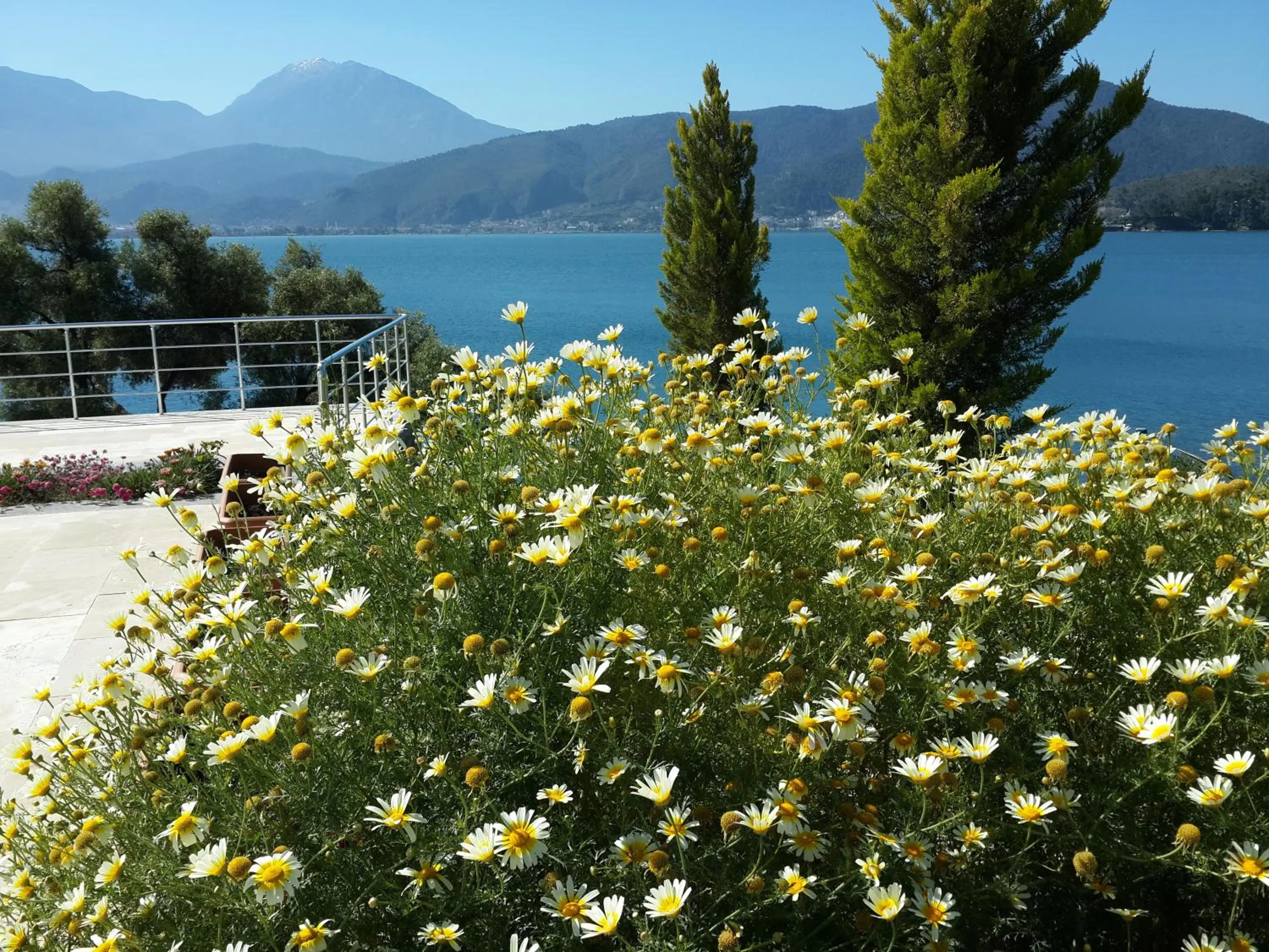 Spring in Sovalye Hotel