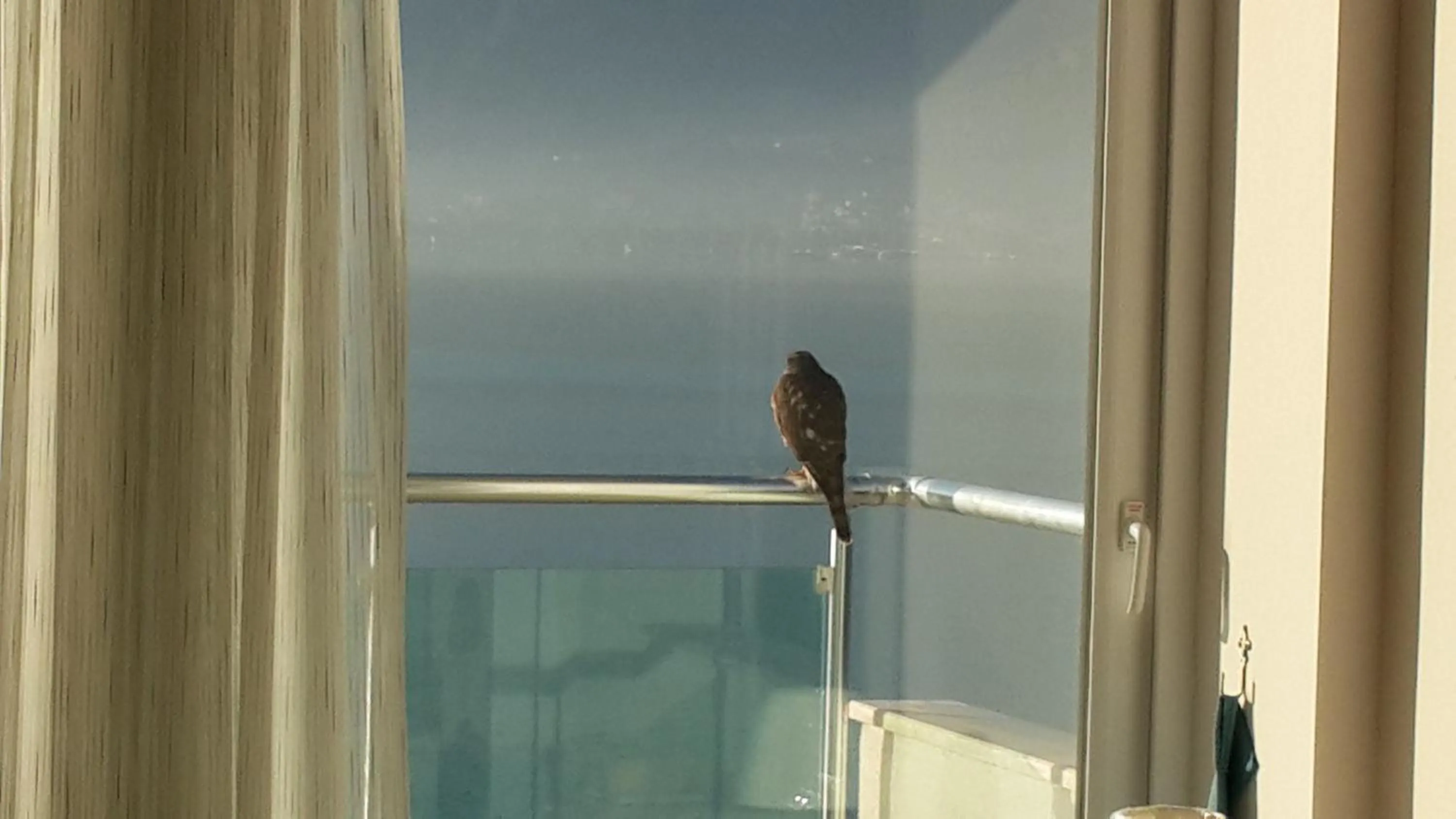 Balcony/Terrace in Sovalye Hotel