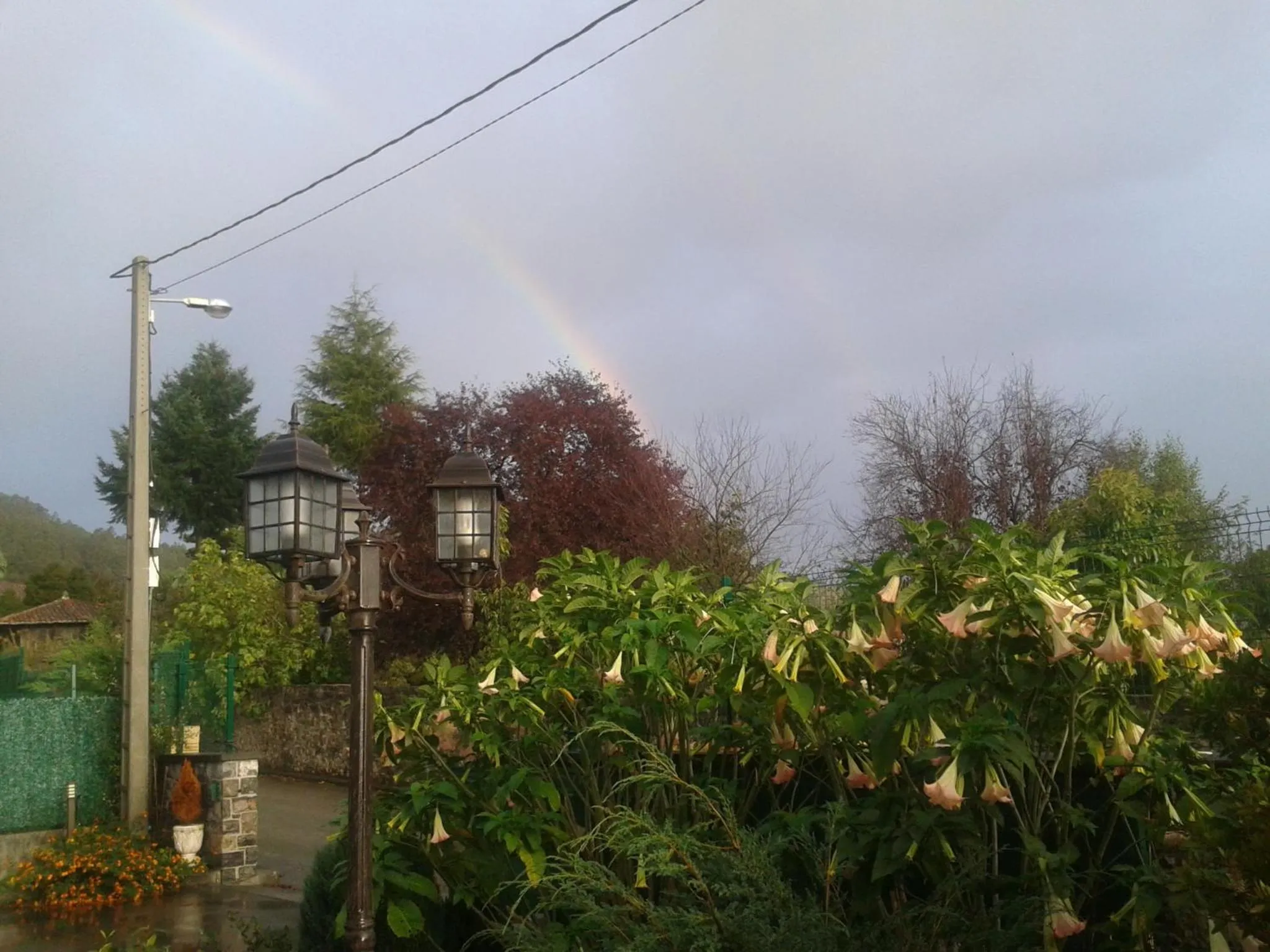 Hotelapartamentos Torres