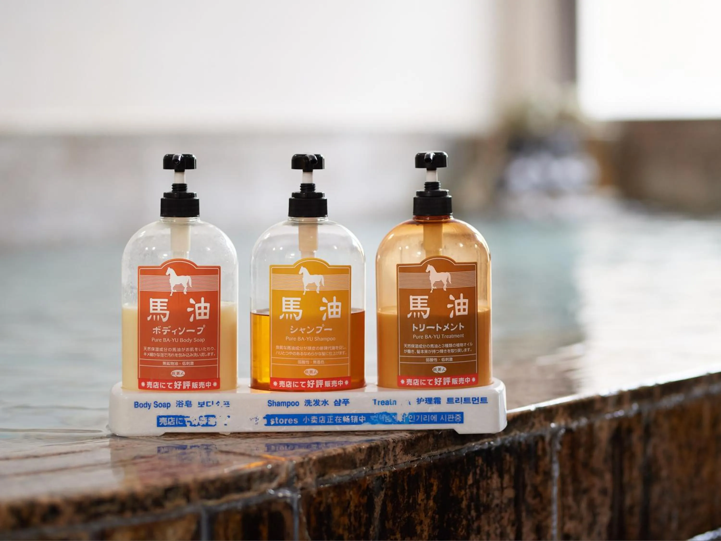 Public Bath in Nikkokinugawa Onsen Kiyomizu no Yado