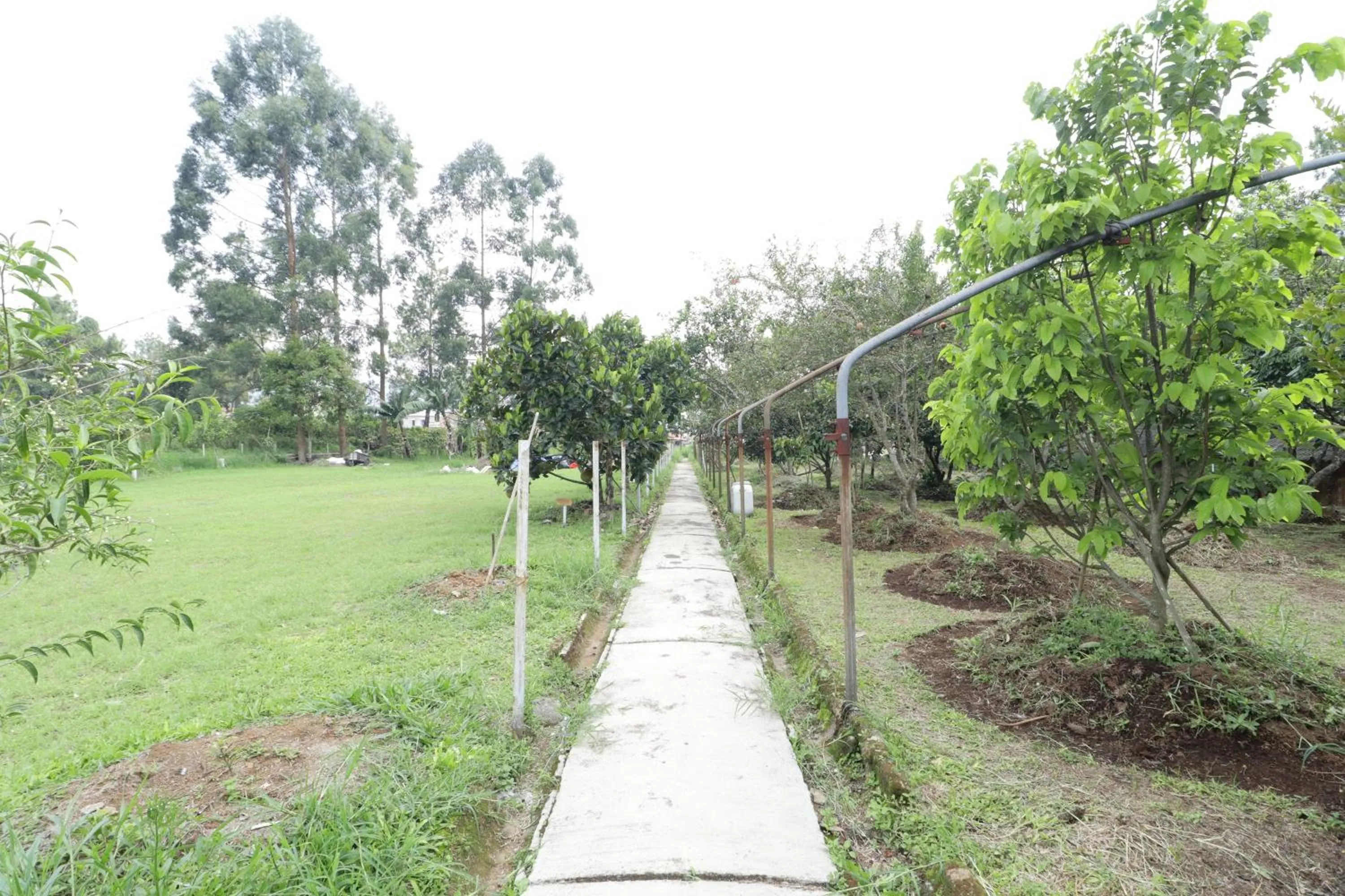 Area and facilities in Nirwana Lembang