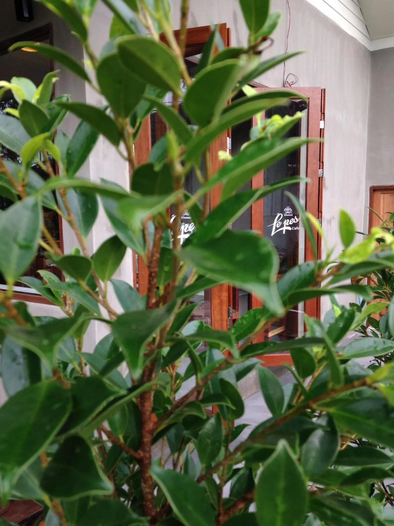 Other in Le Pes Villas