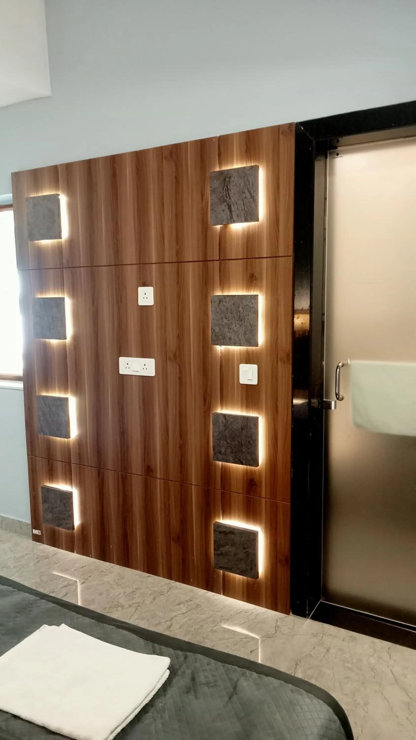 TV and multimedia in HOTEL SHYAM PALACE INDIA AGRA