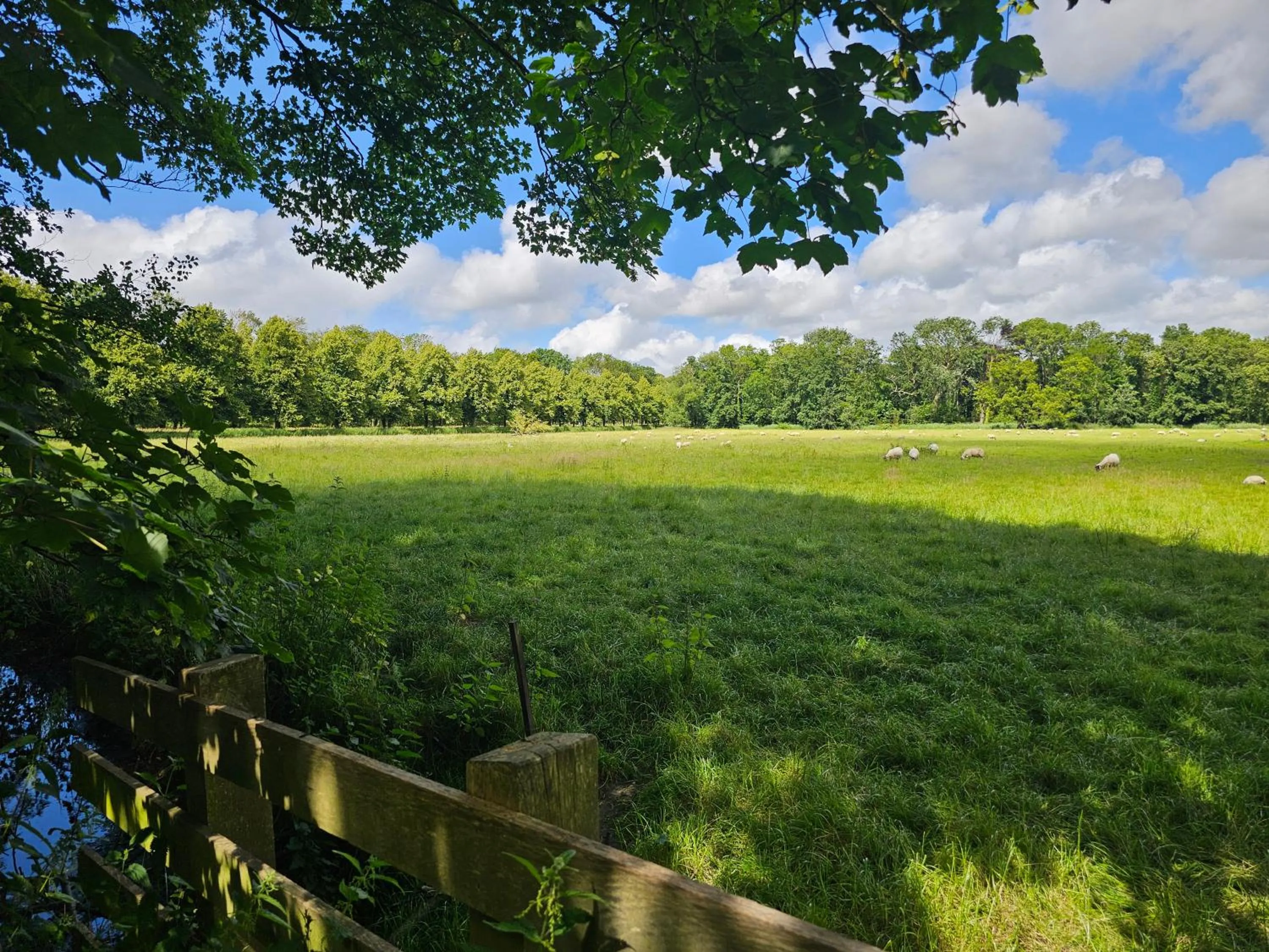 Natural landscape in Hotel Heemskerk