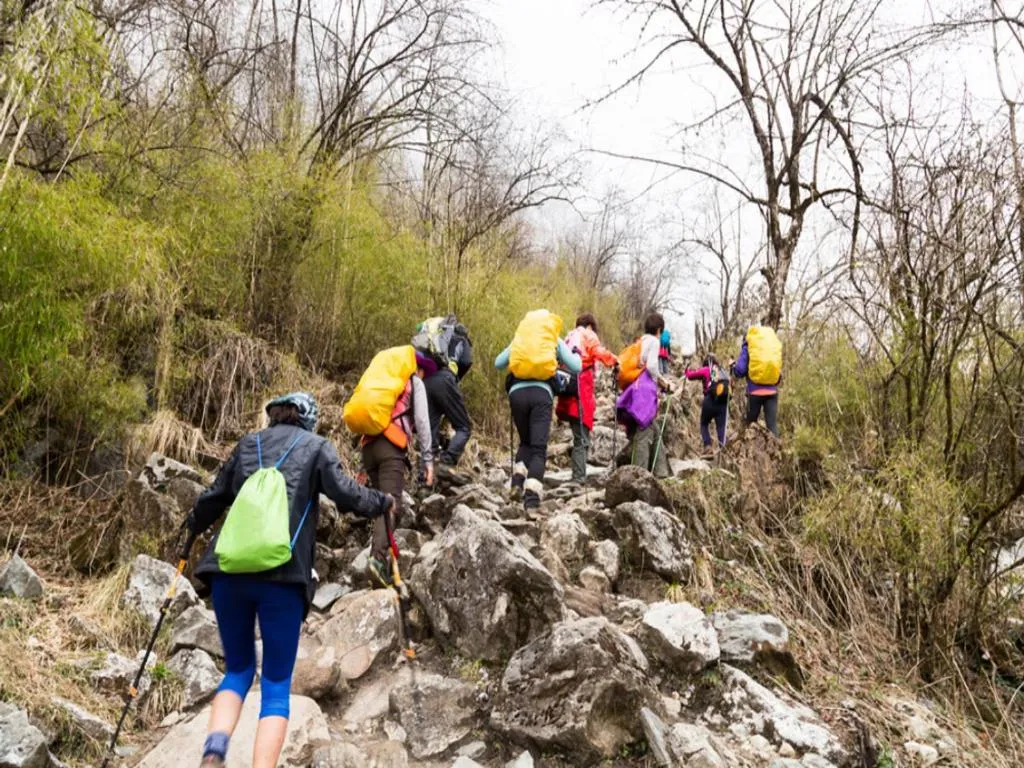 Natural landscape in Hotel Aaradhya