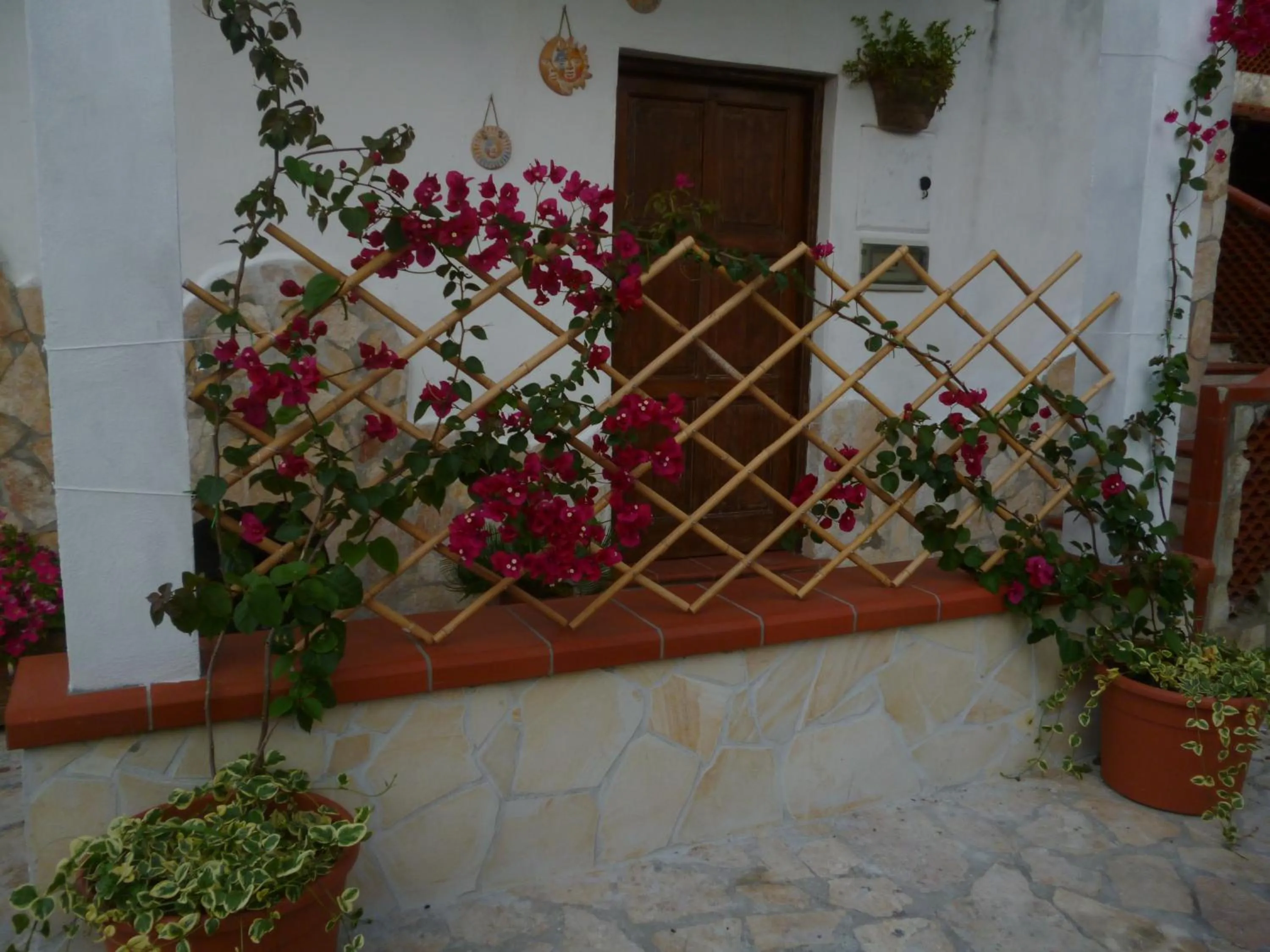 Other in B&B La Taverna dei Ciucci