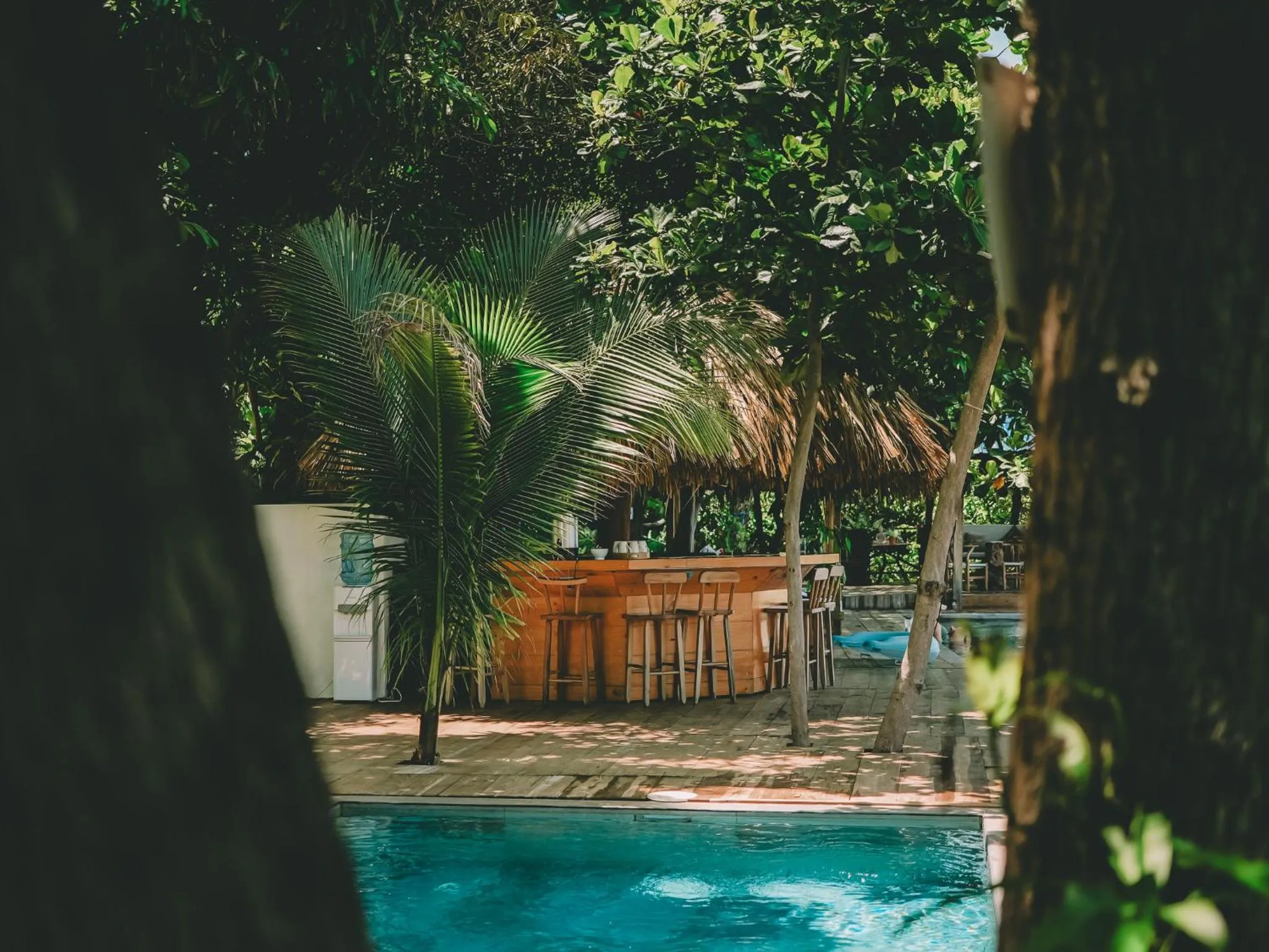 Garden in El Xalli Hotel