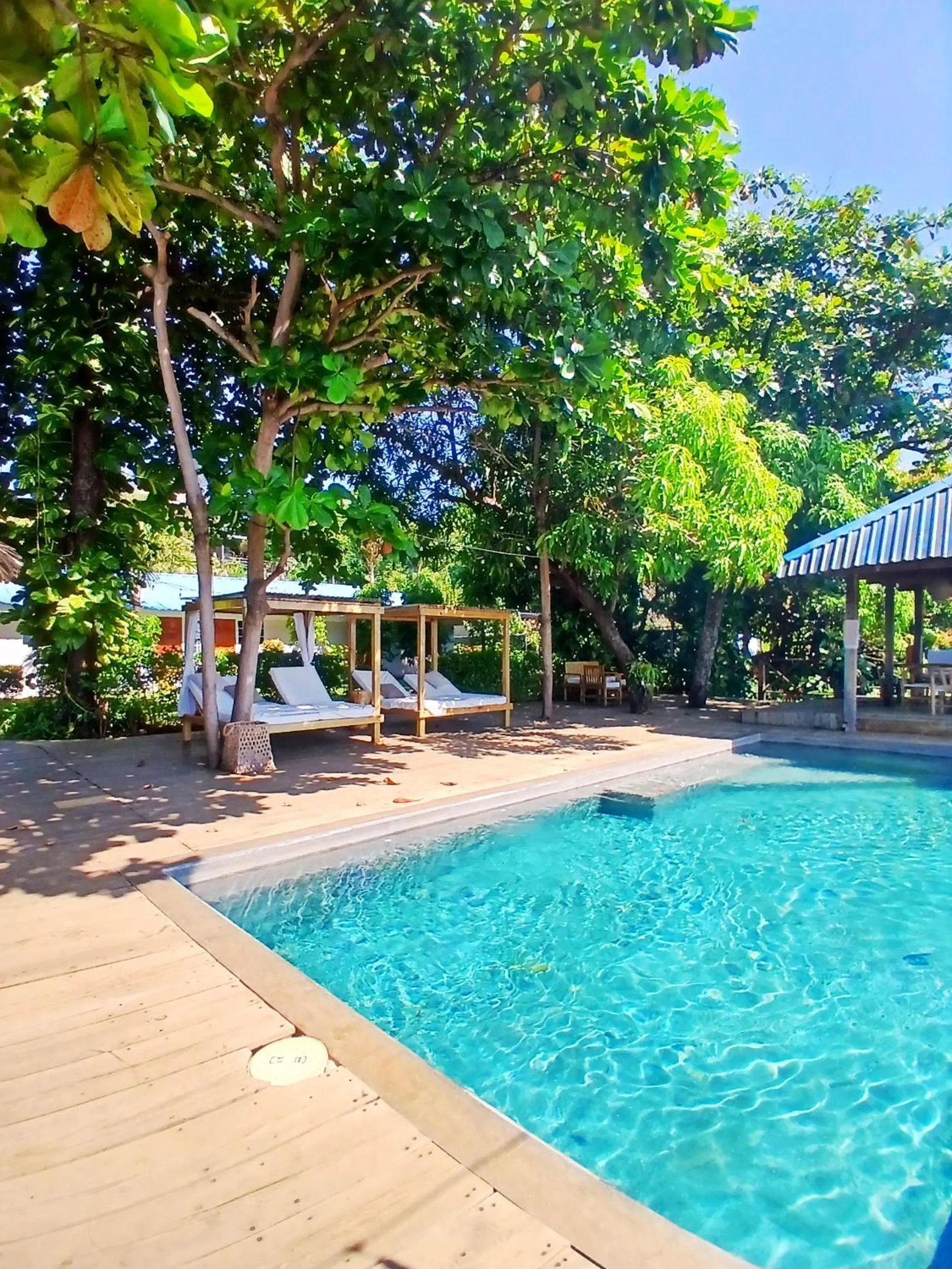 Swimming pool in El Xalli Hotel