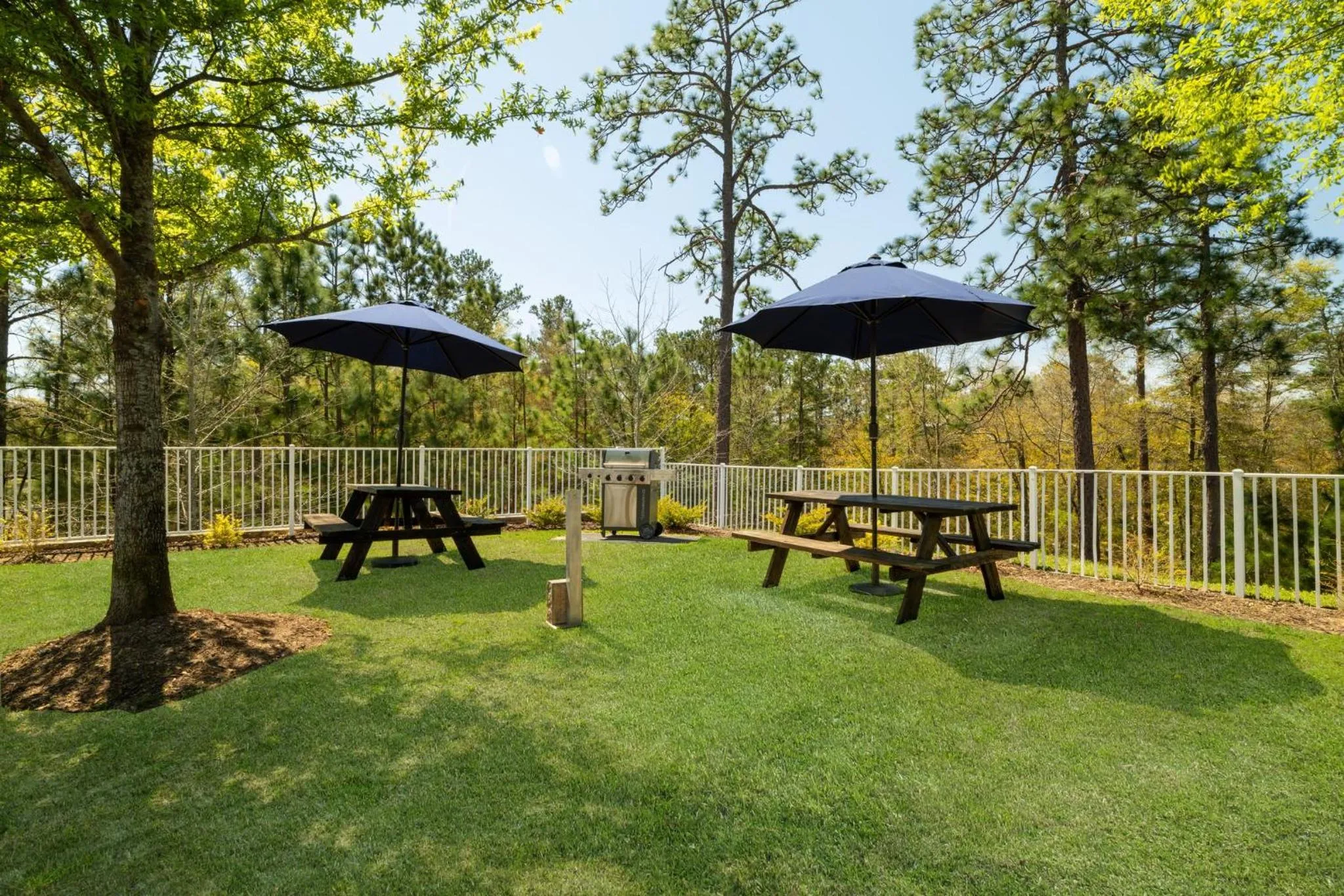 Other in Holiday Inn Express & Suites Aiken by IHG