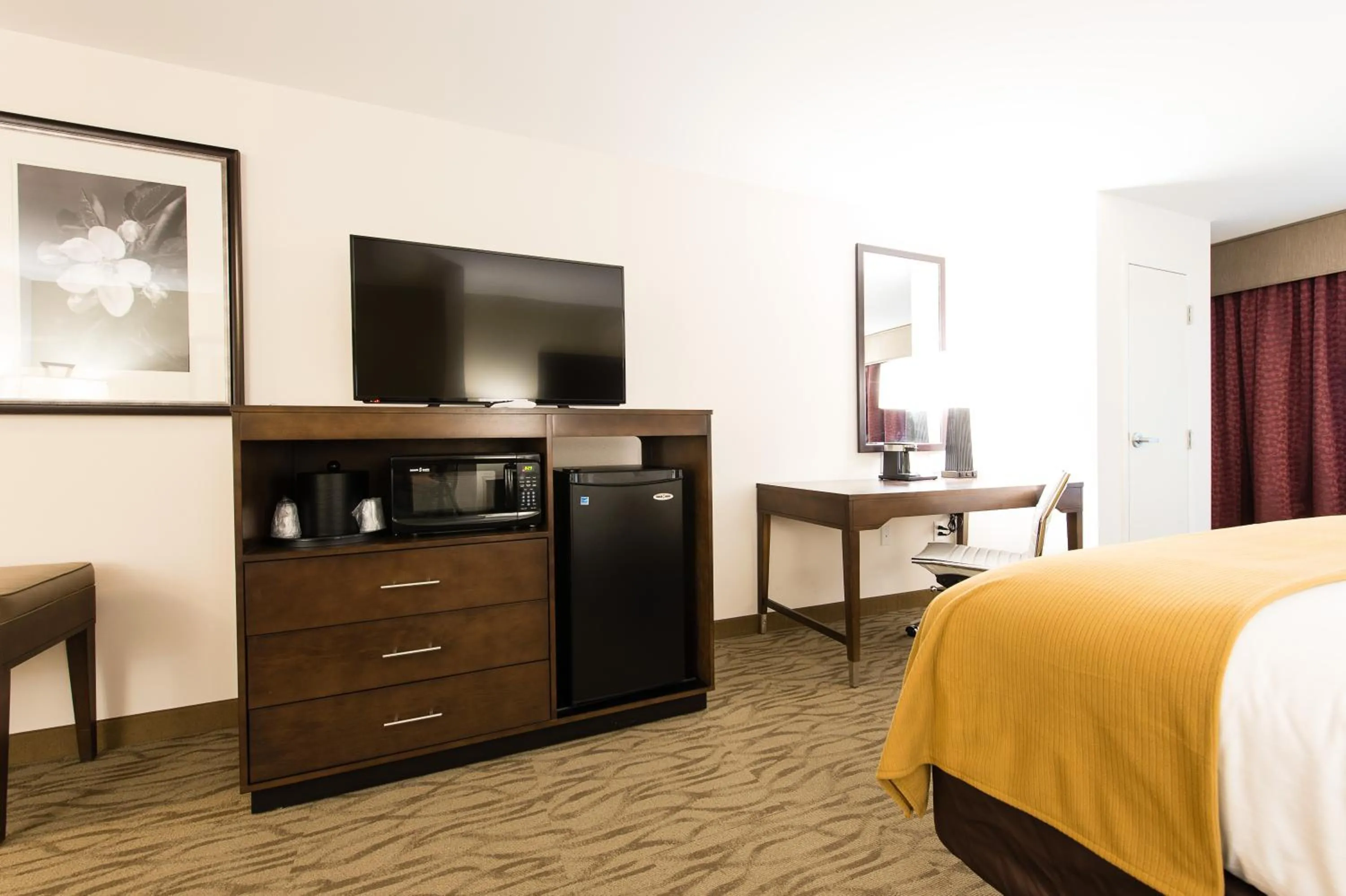 TV and multimedia, Bed in Holiday Inn Express & Suites Aiken by IHG