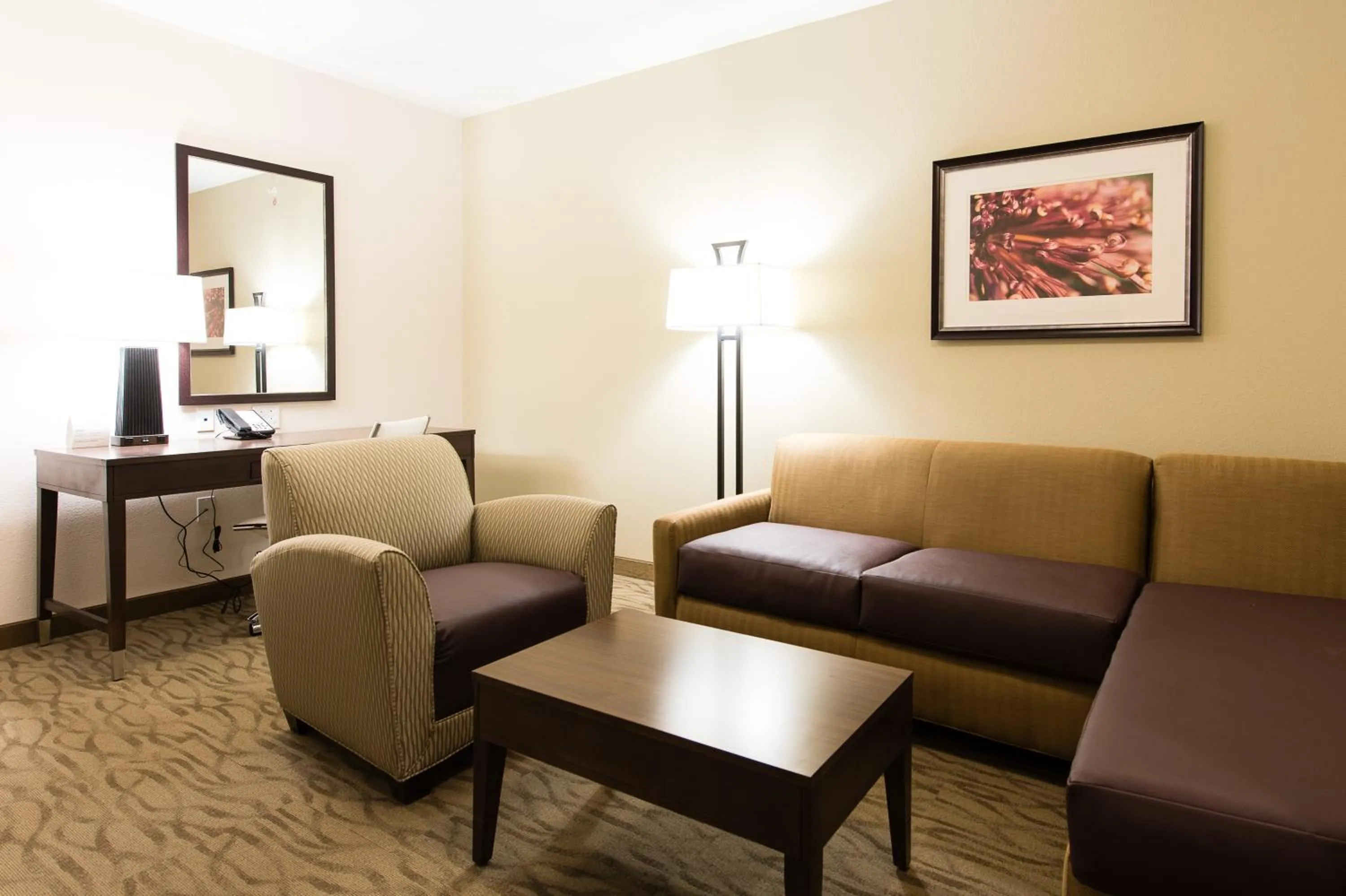 Living room in Holiday Inn Express & Suites Aiken by IHG