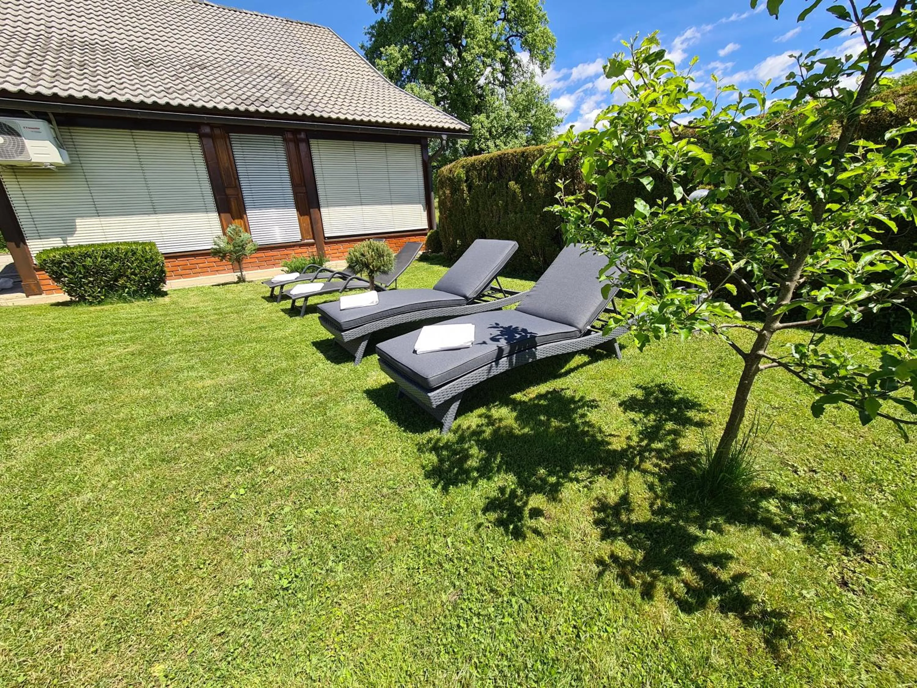 Patio in Apartments Boldin