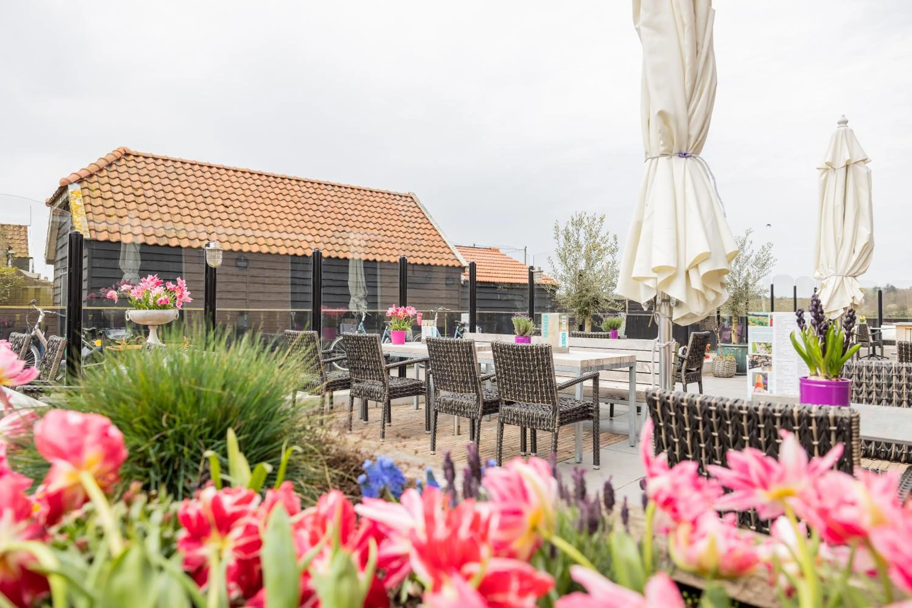 Restaurant/places to eat in Hotel De Walvisvaarder