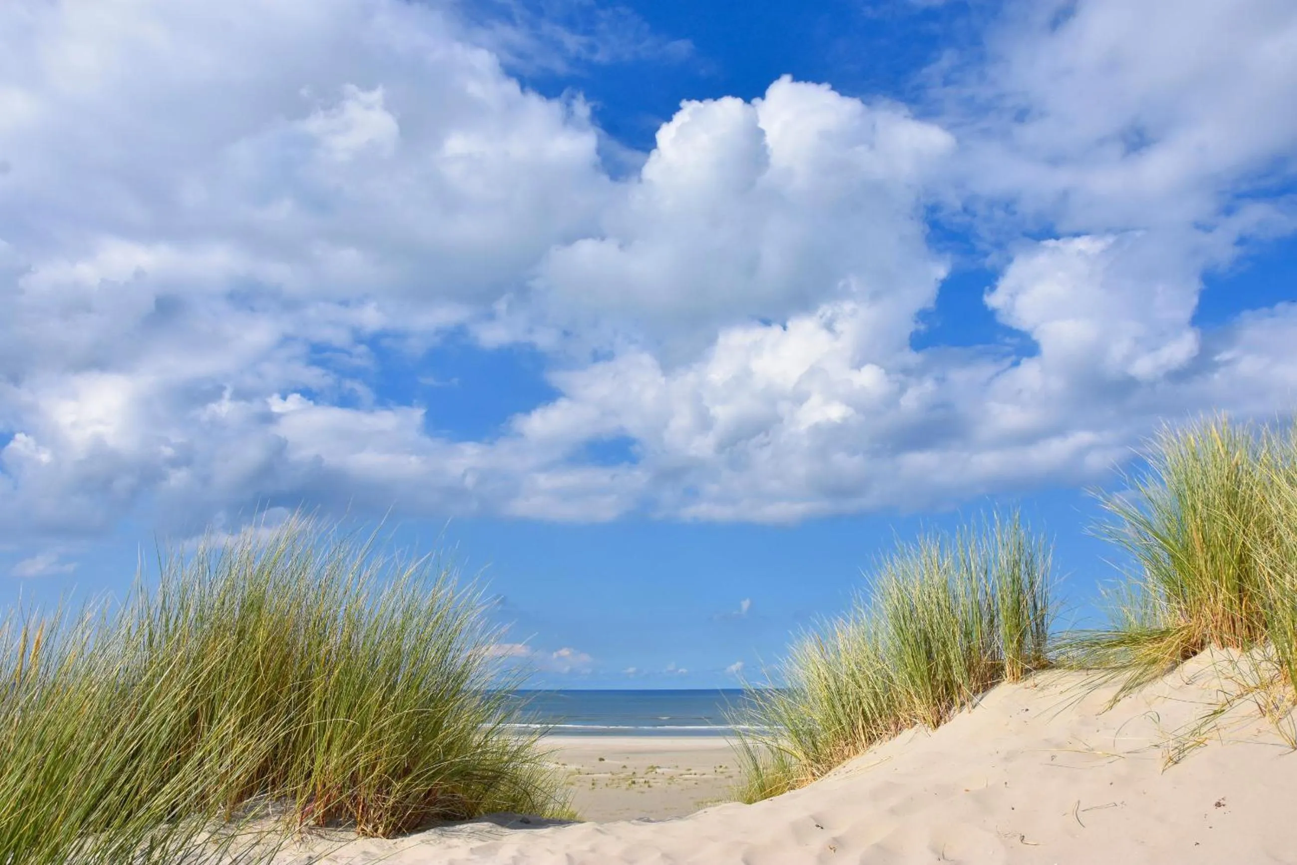 Other in Hotel De Walvisvaarder