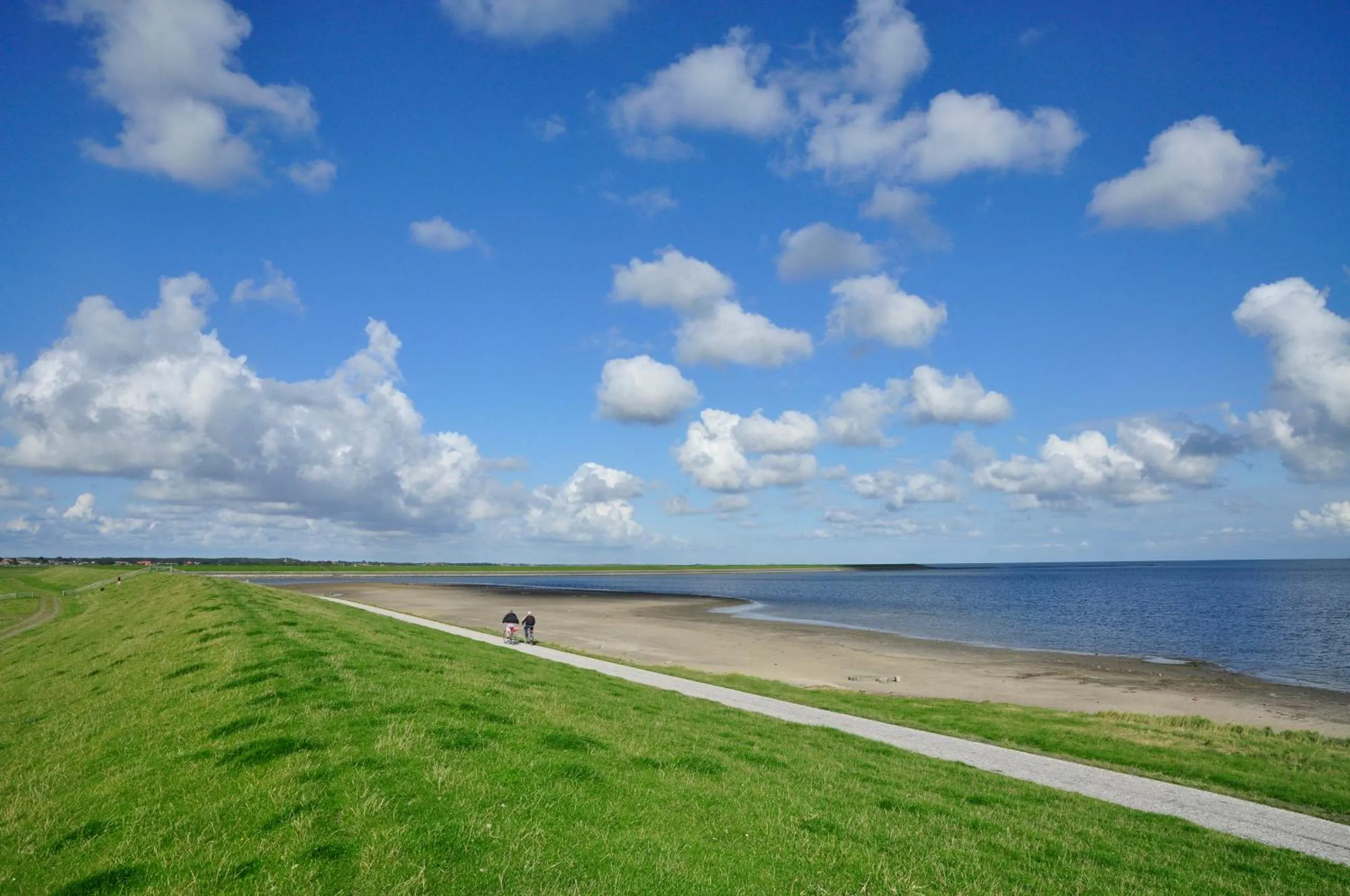 Cycling in Hotel De Walvisvaarder