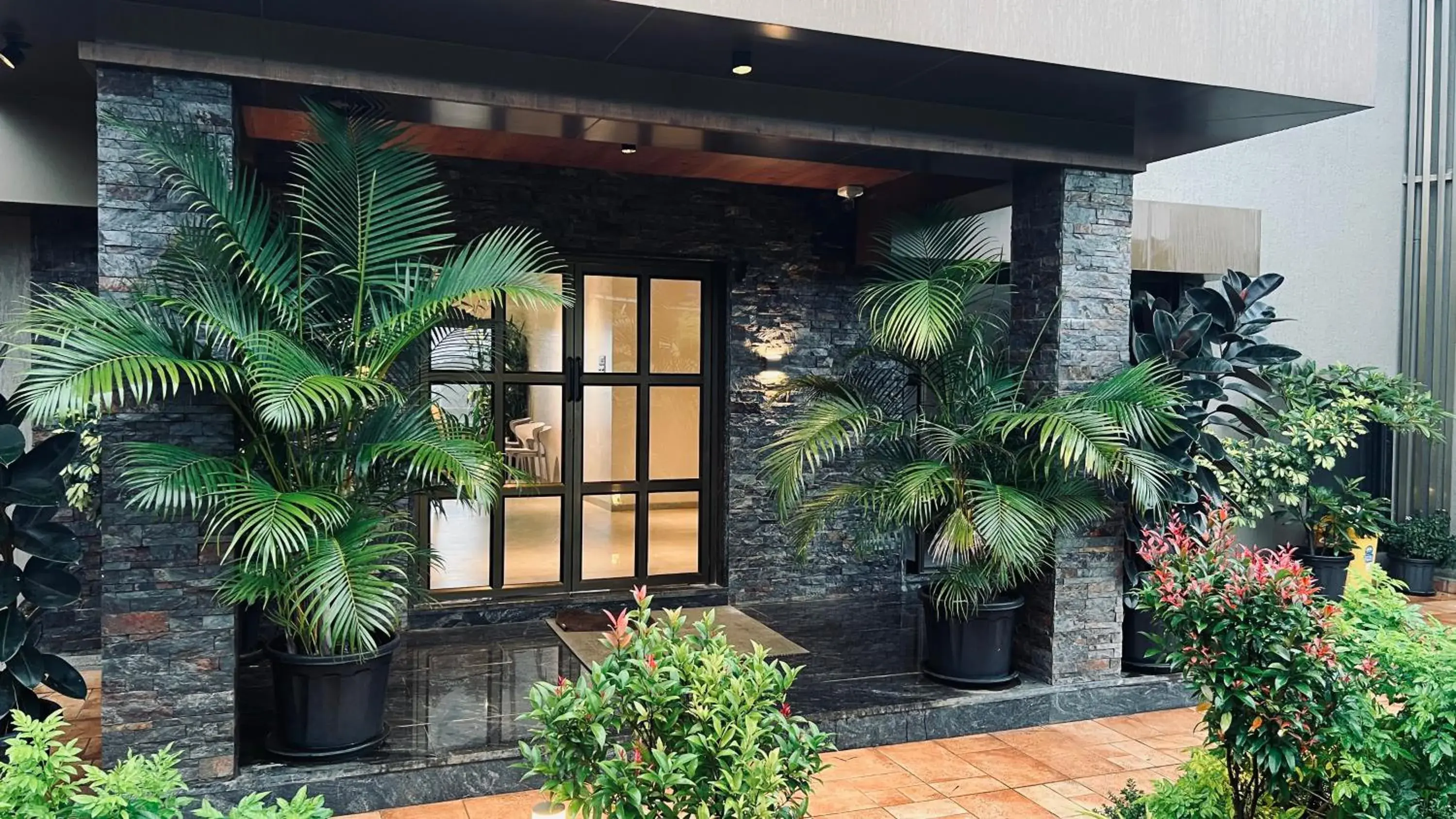 Jumbo Serene Jumbo Serene