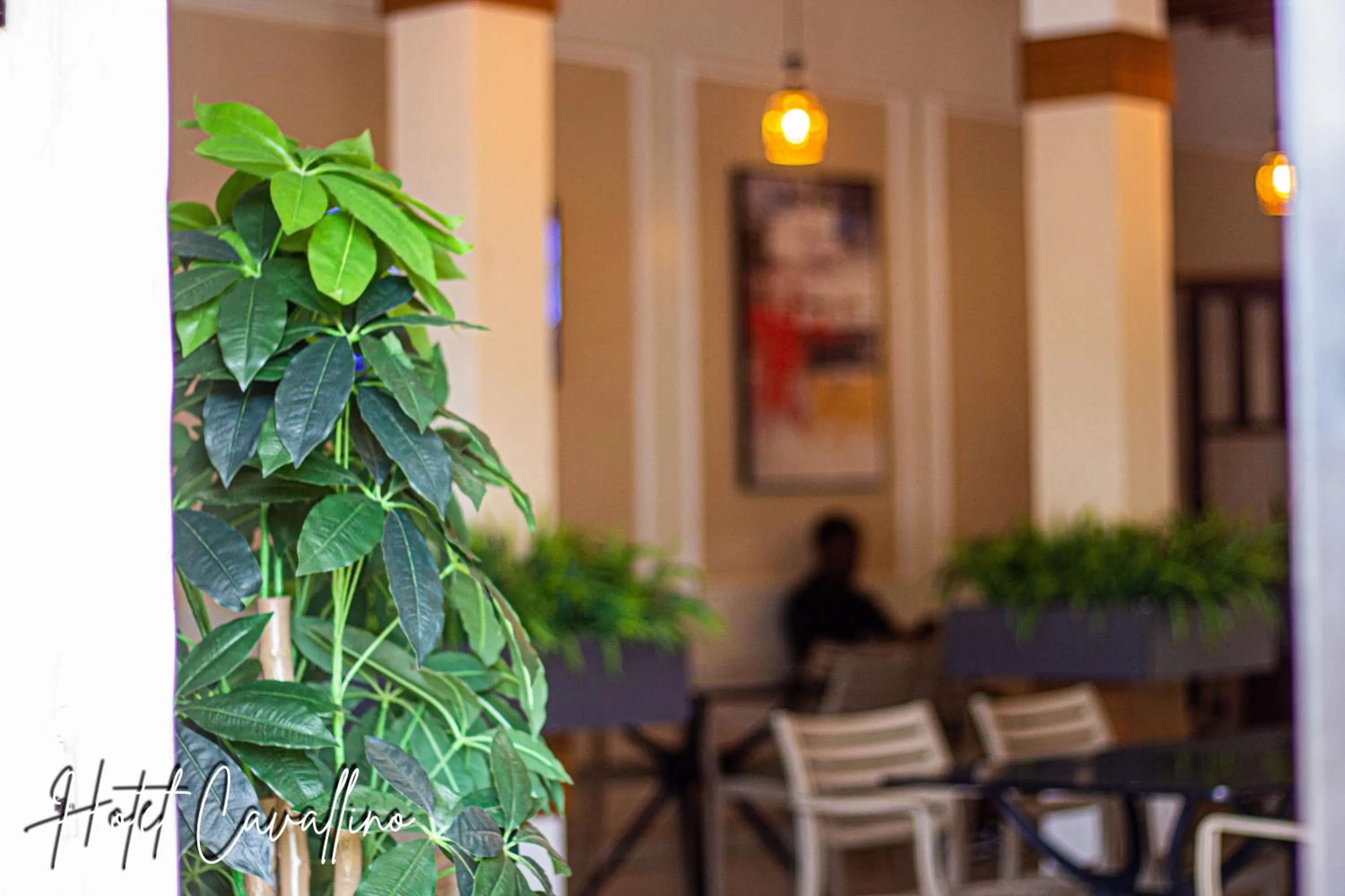 Restaurant/places to eat in Hotel Cavallino