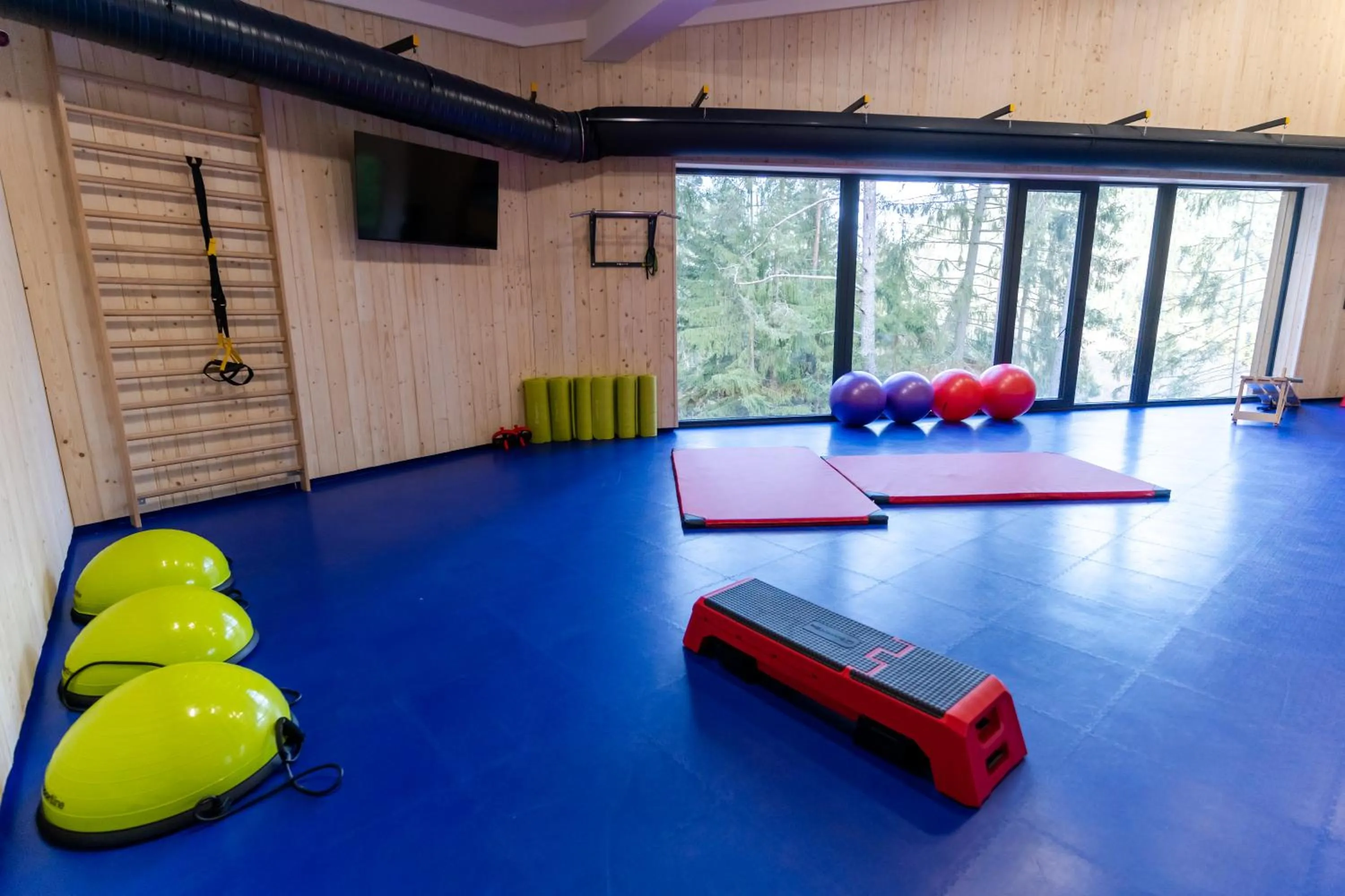 Fitness centre/facilities in Spa & Wellness Hotel Fitak****