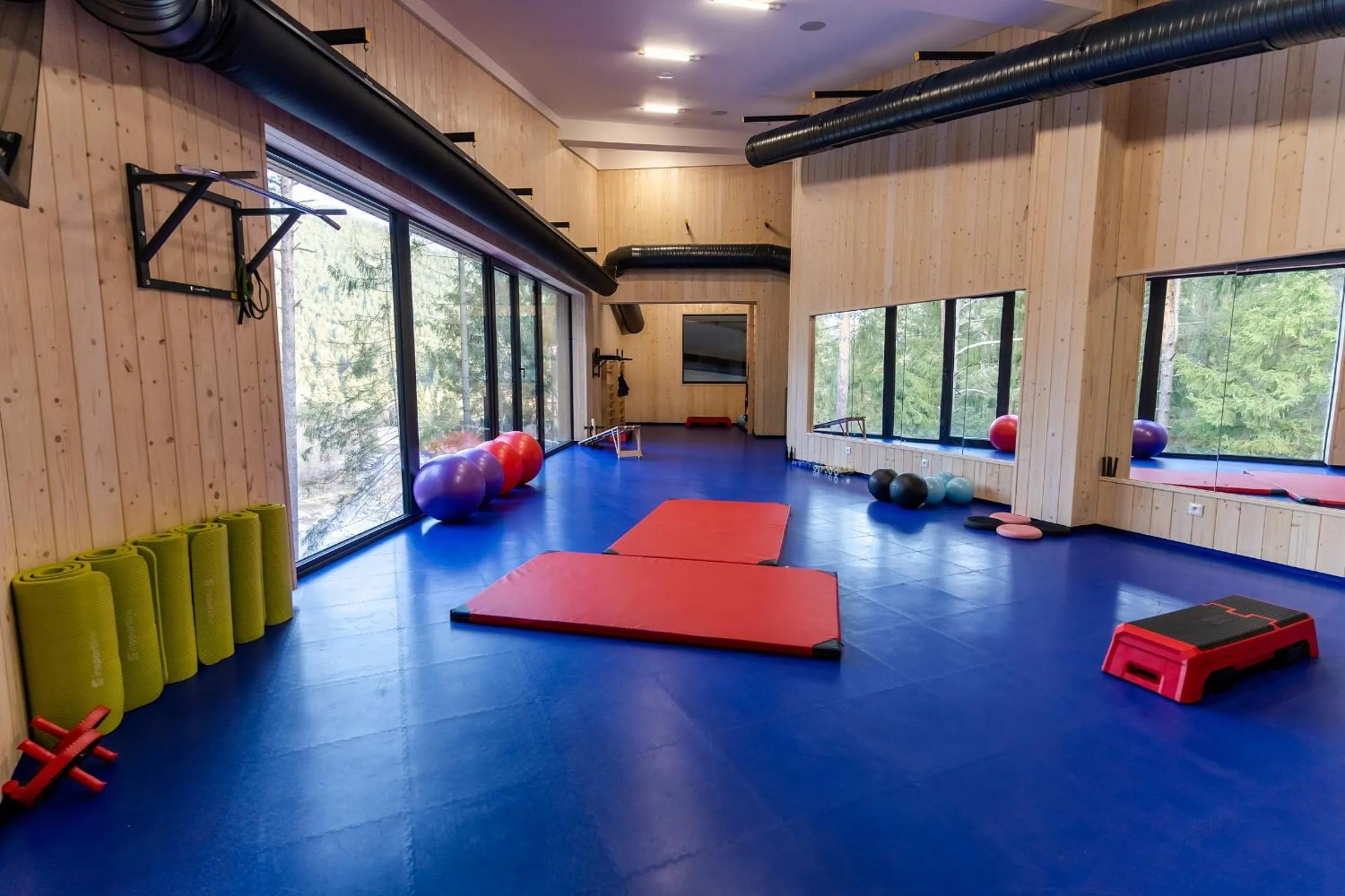 Fitness centre/facilities in Spa & Wellness Hotel Fitak****