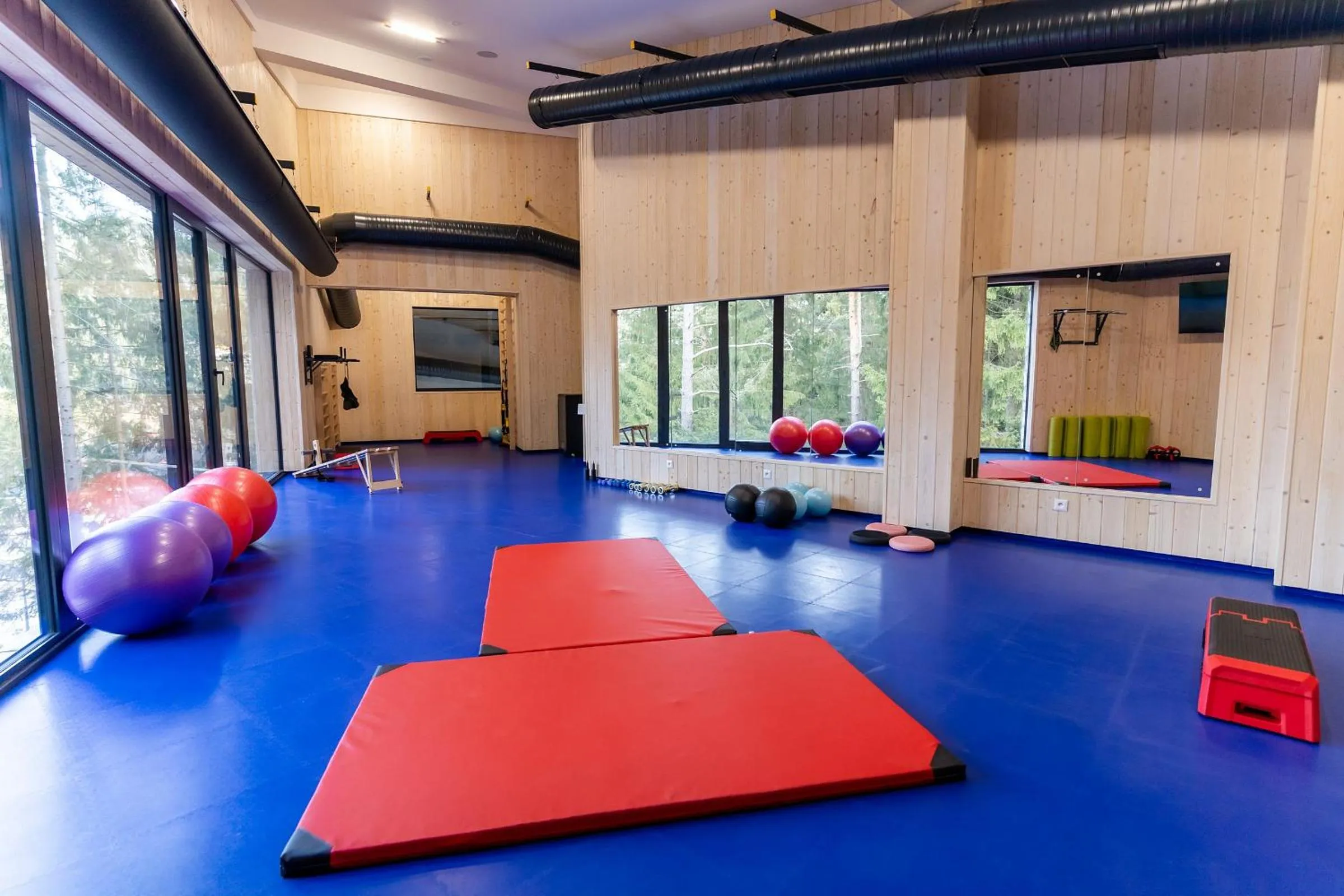 Fitness centre/facilities in Spa & Wellness Hotel Fitak****