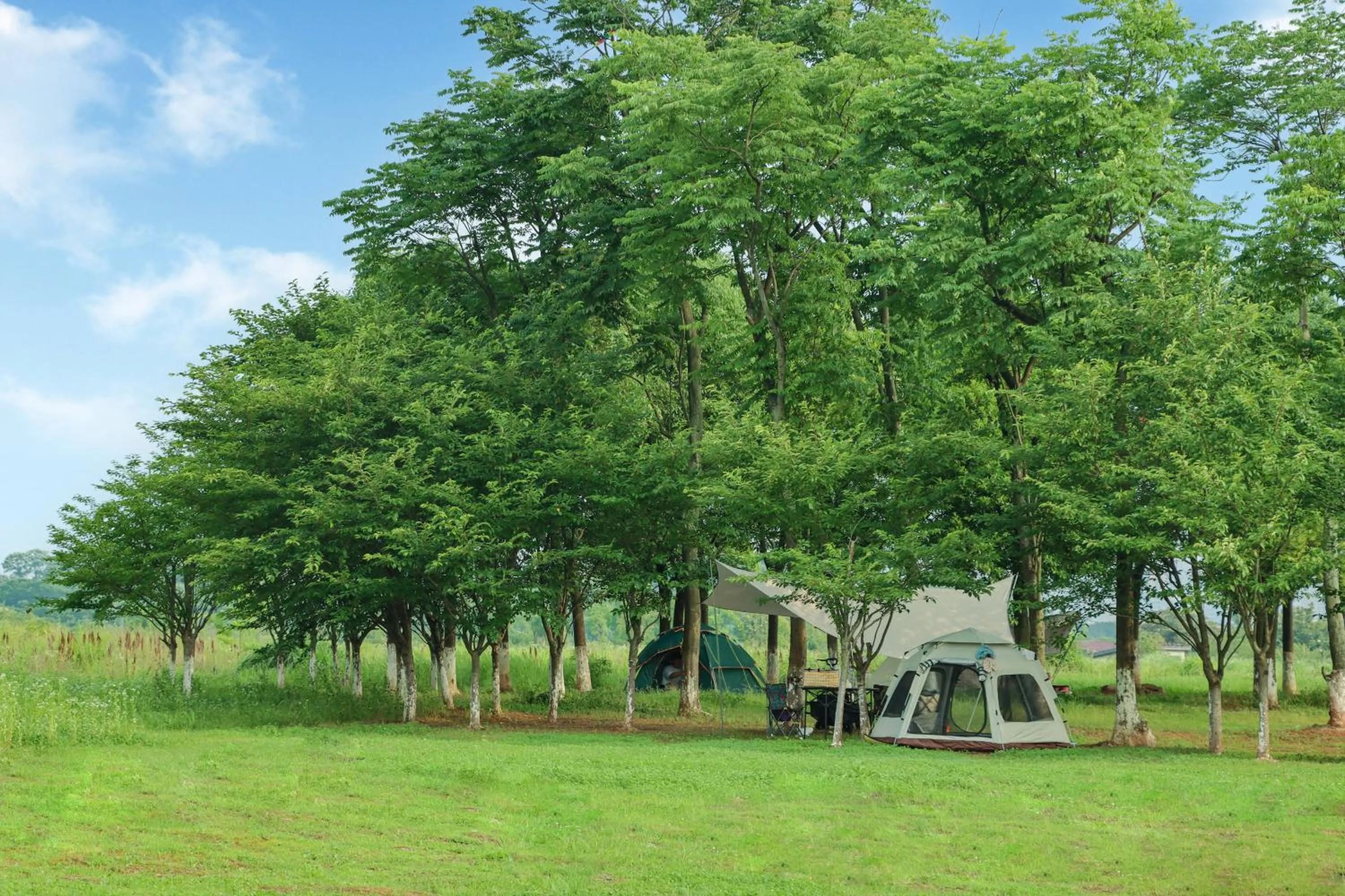 Entertainment in Holiday Inn Express Changsha Development Zone by IHG