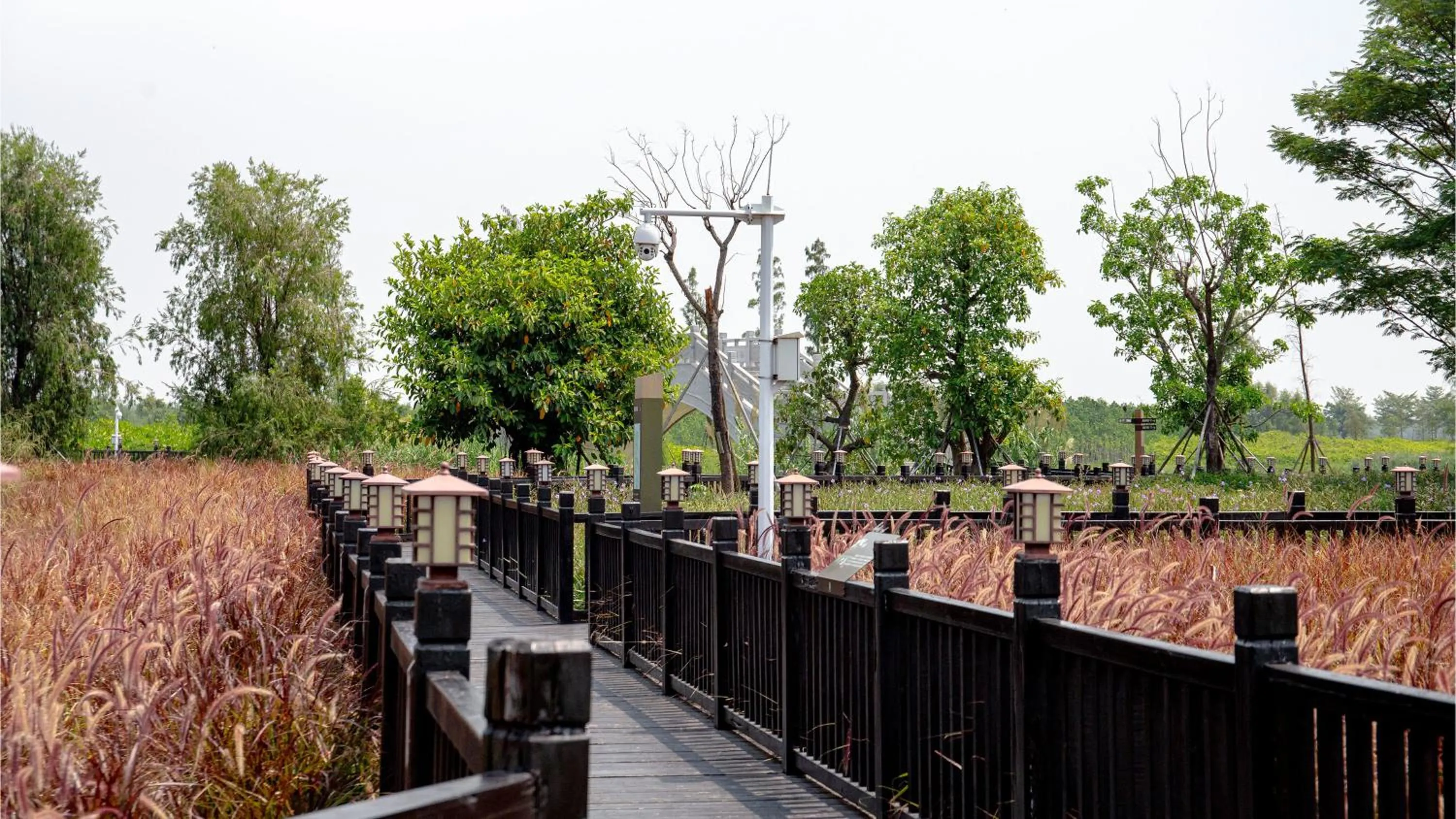 Area and facilities in EVEN Hotel Zhongshan City Center by IHG