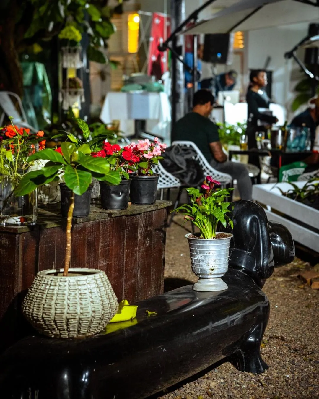 Garden in concierge hotel