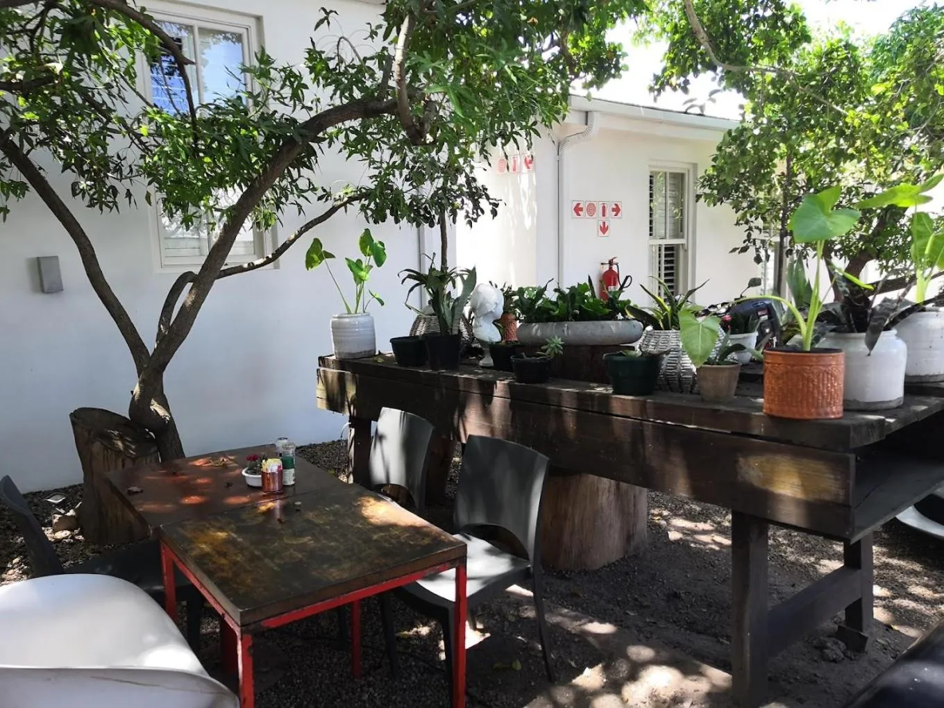 Garden in concierge hotel