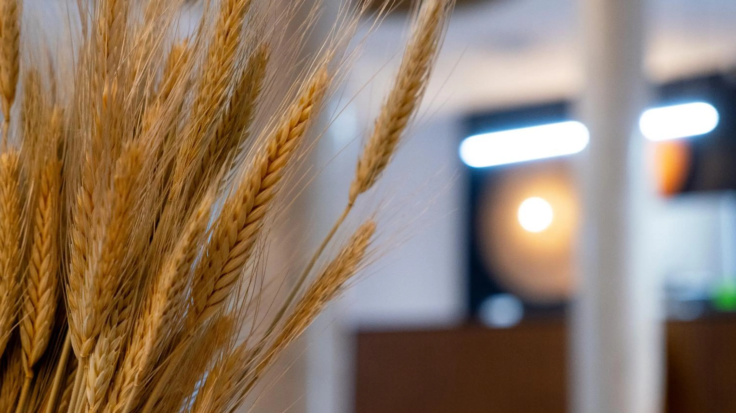 La Hospedería - El Provencio