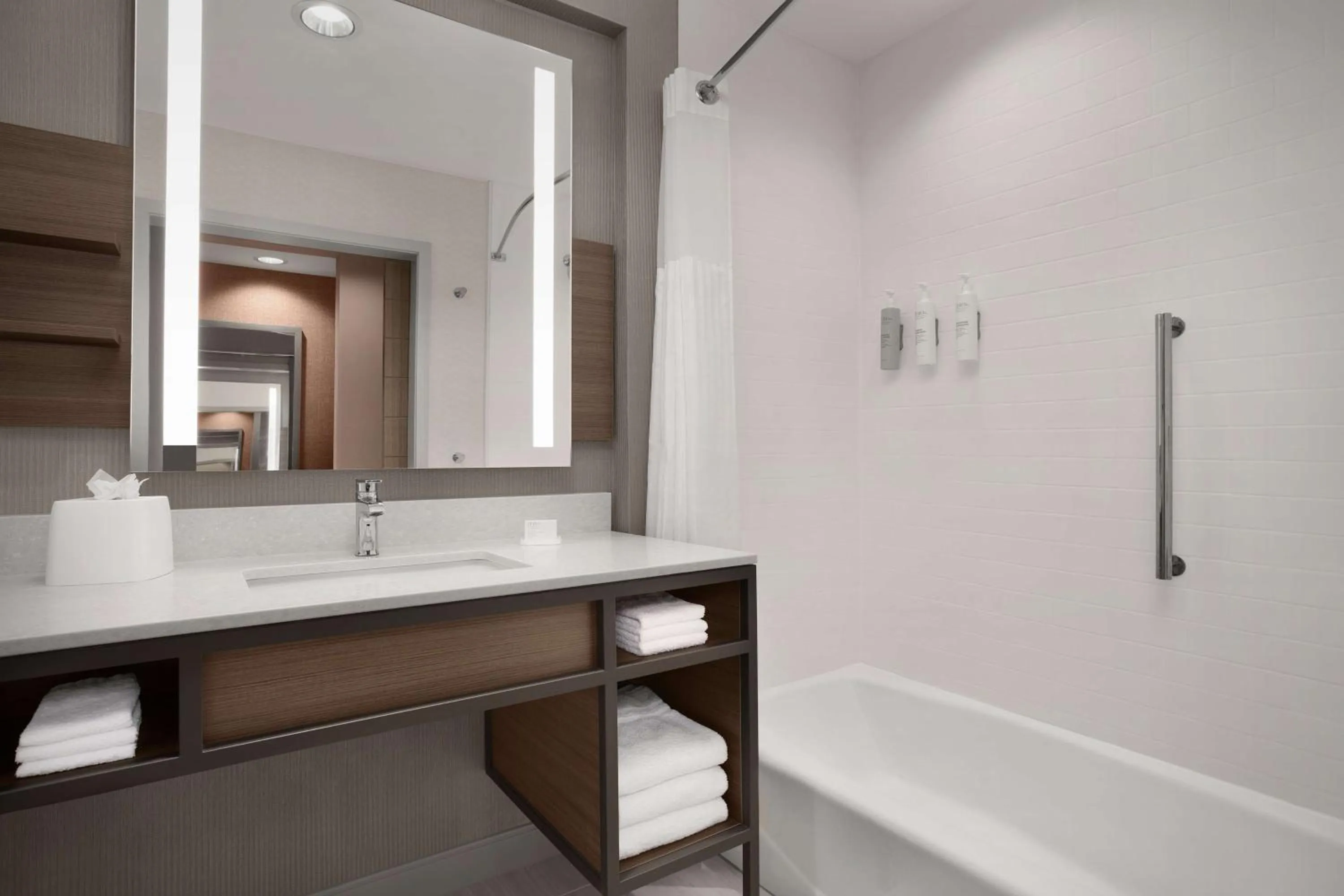 Bathroom in Hilton Garden Inn Denver Airport Tower Road