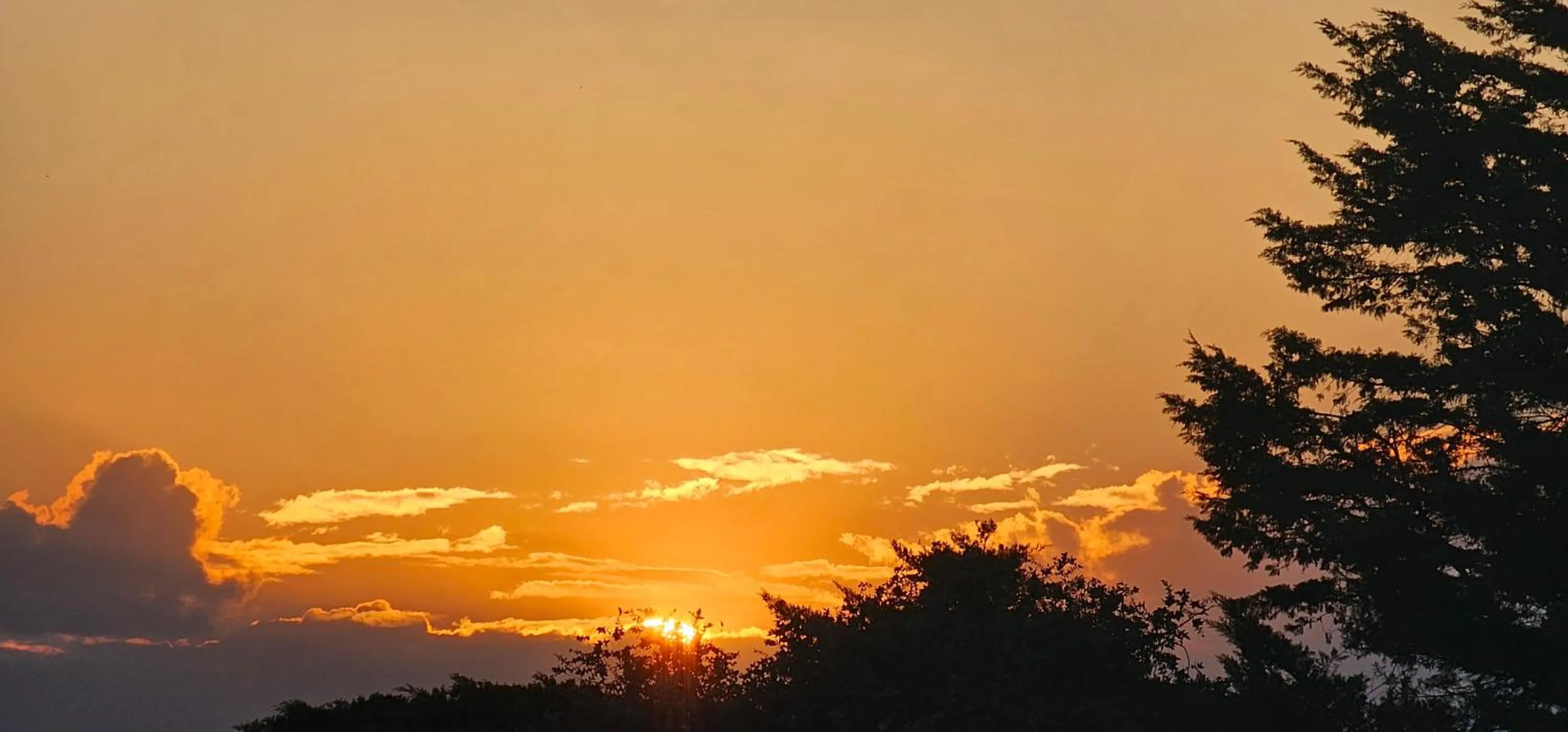 Pousada Flor de Lua Monte Verde