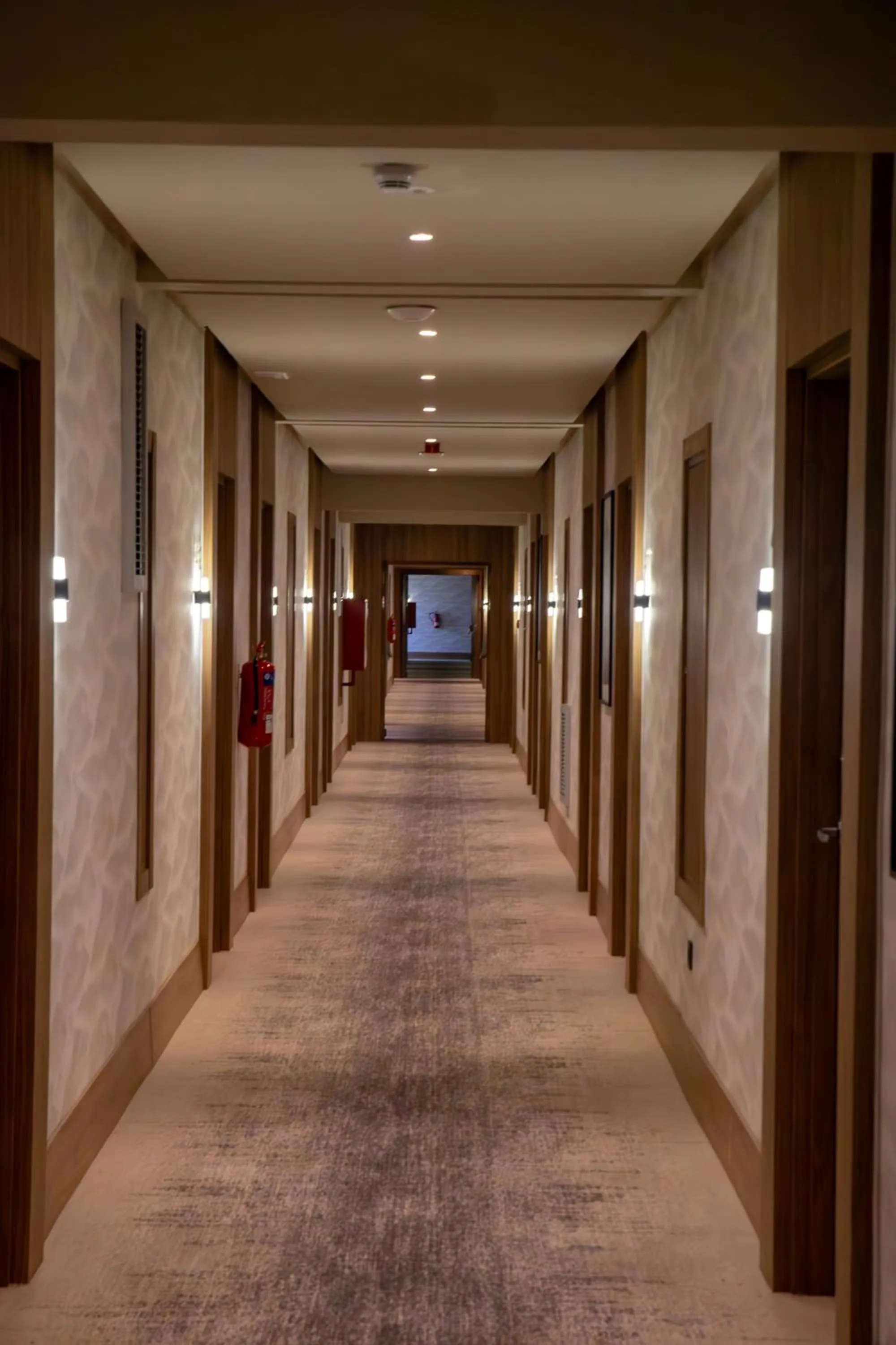 Property building in Dominium Palace