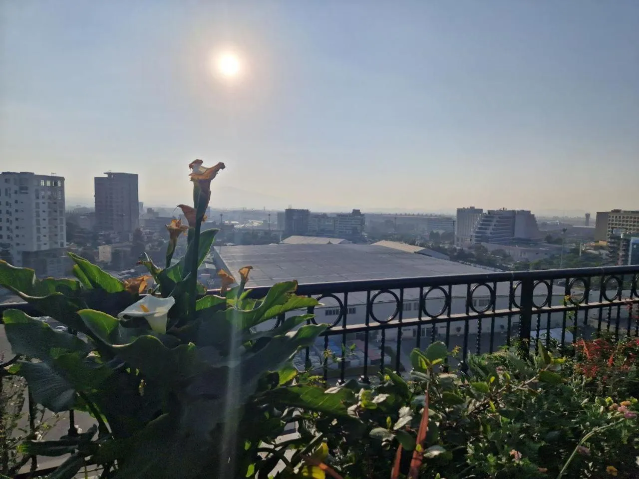 Natural landscape in Zemilo Hotel Apartment
