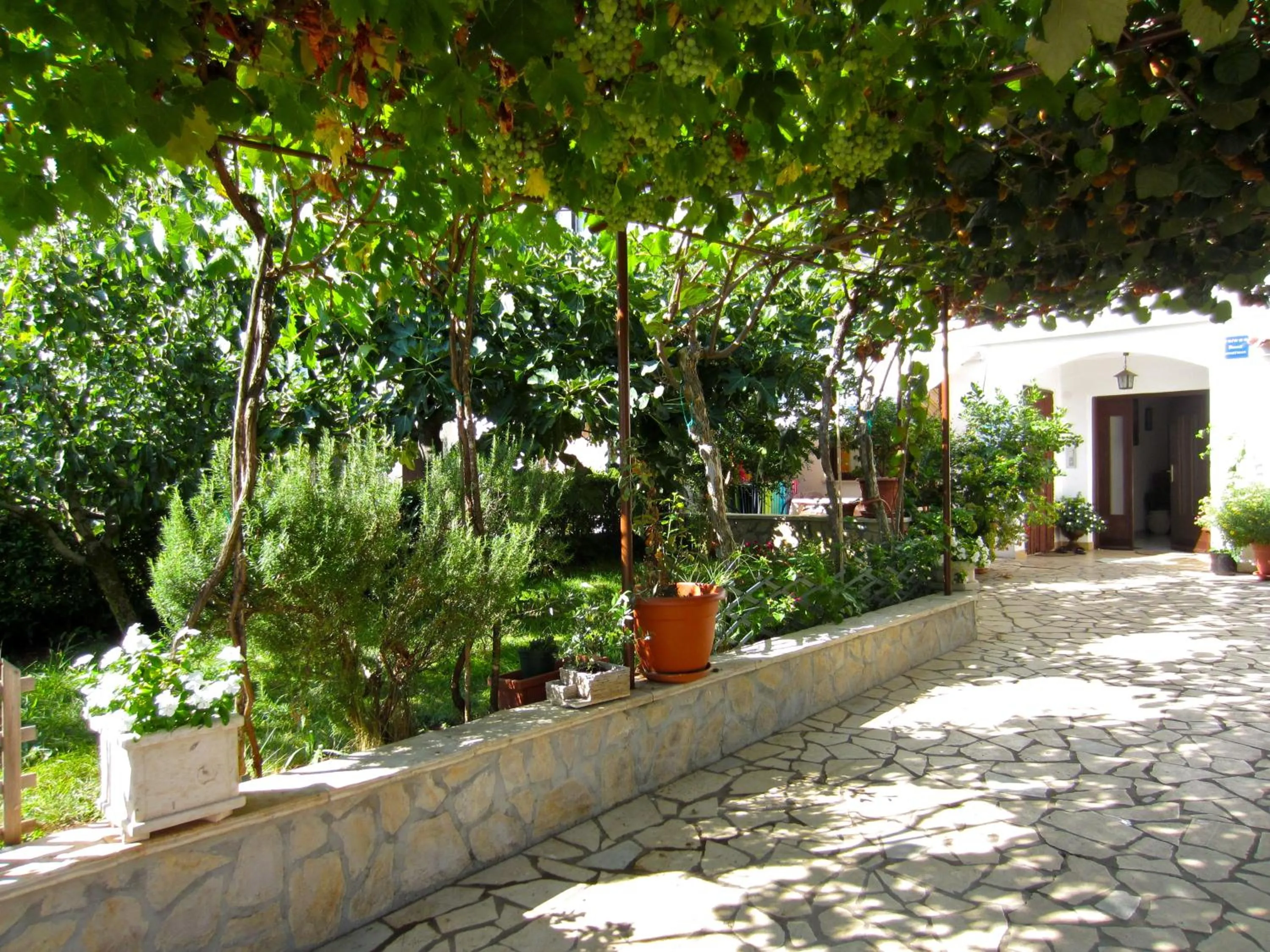 Day in Apartments Olea