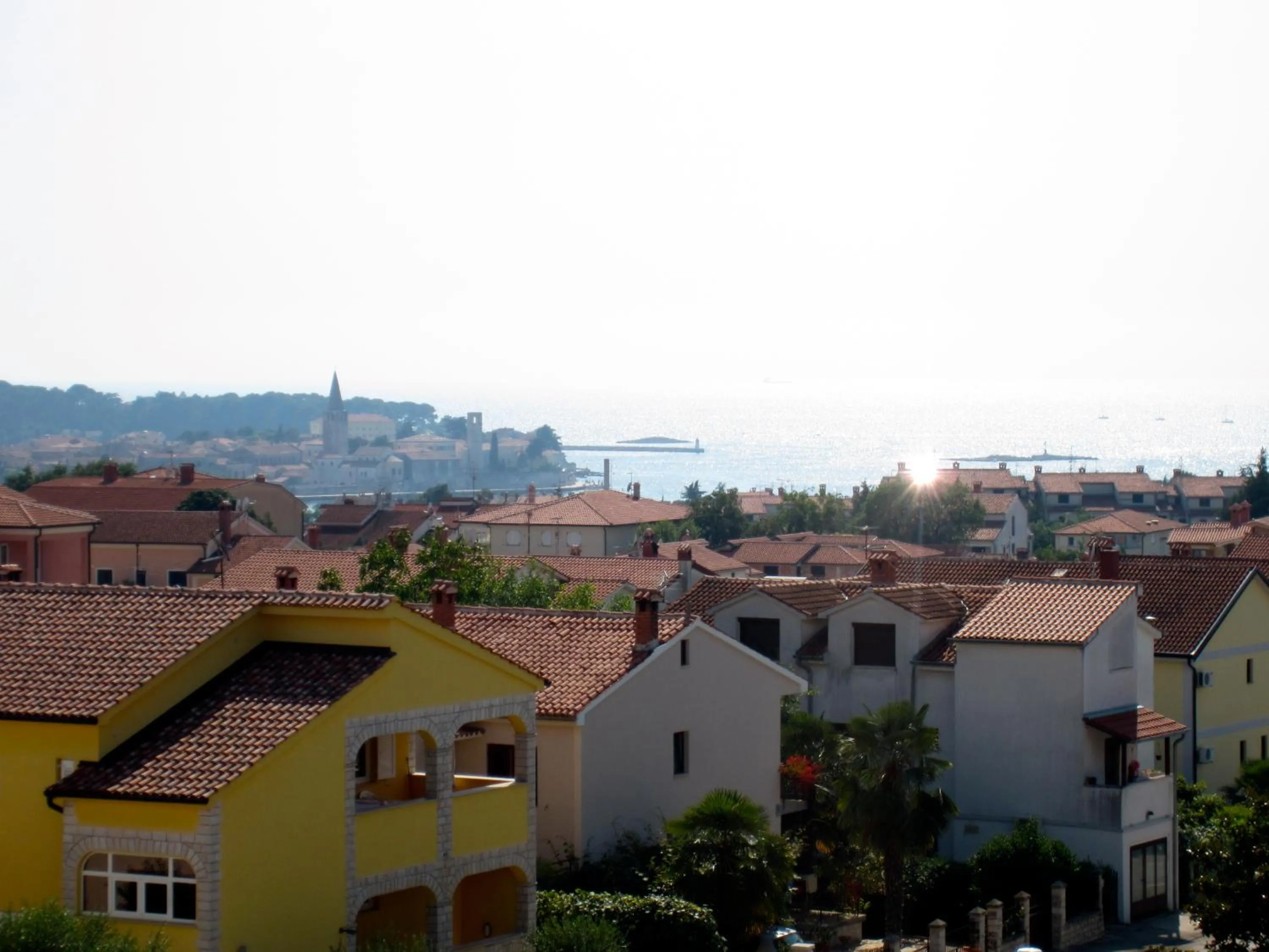 Day in Apartments Olea