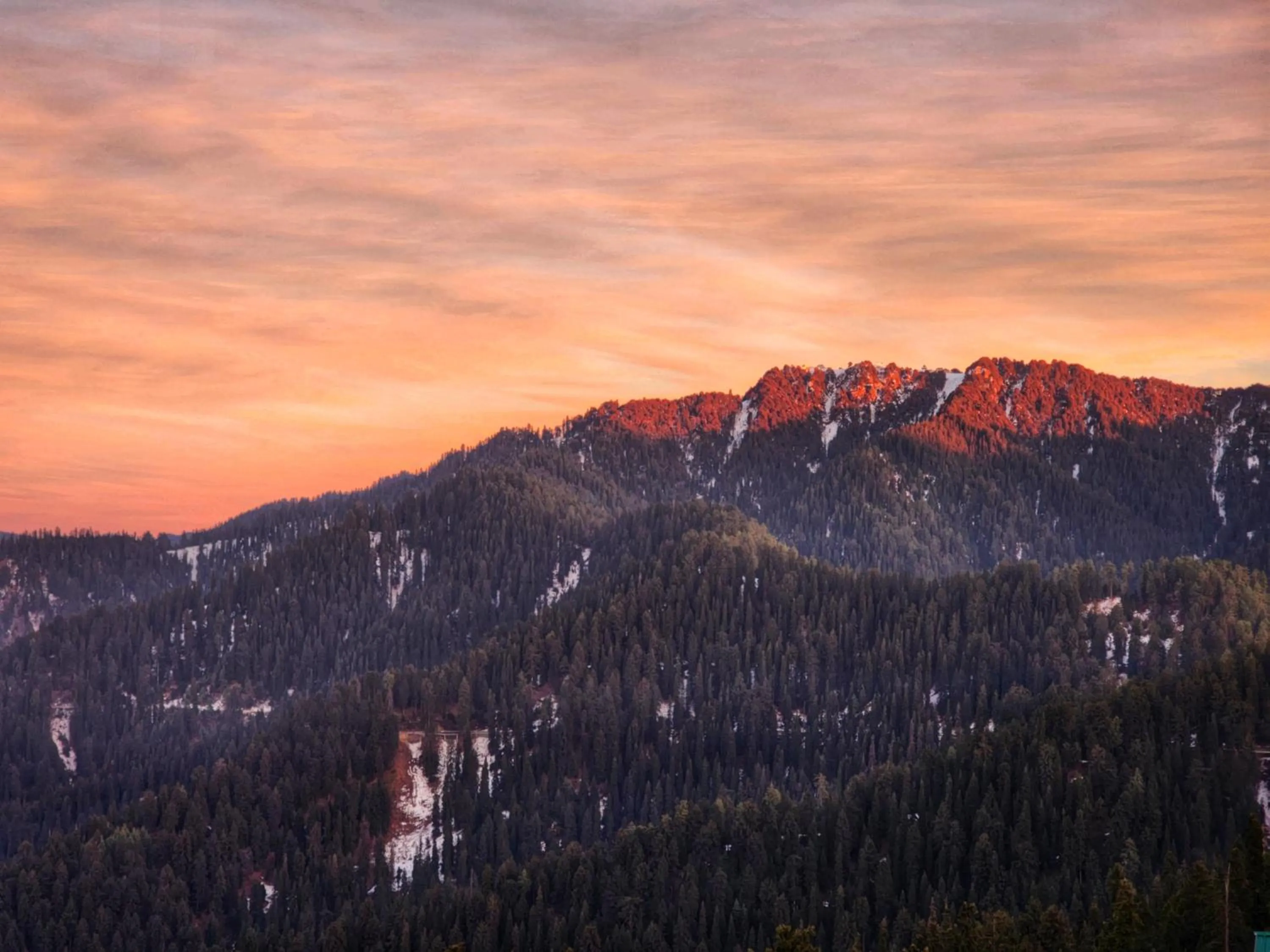 The White Season Residency