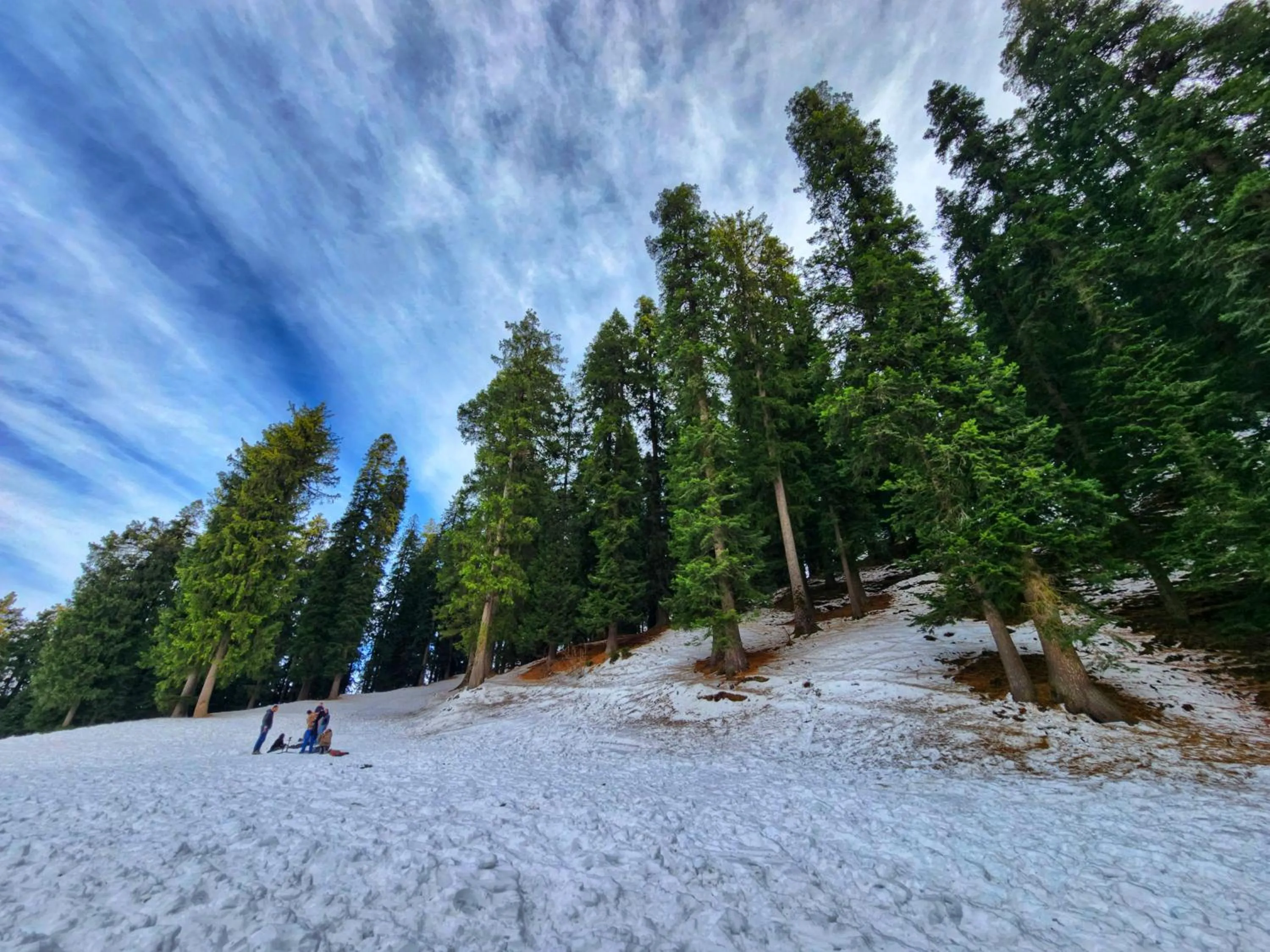 The White Season Residency