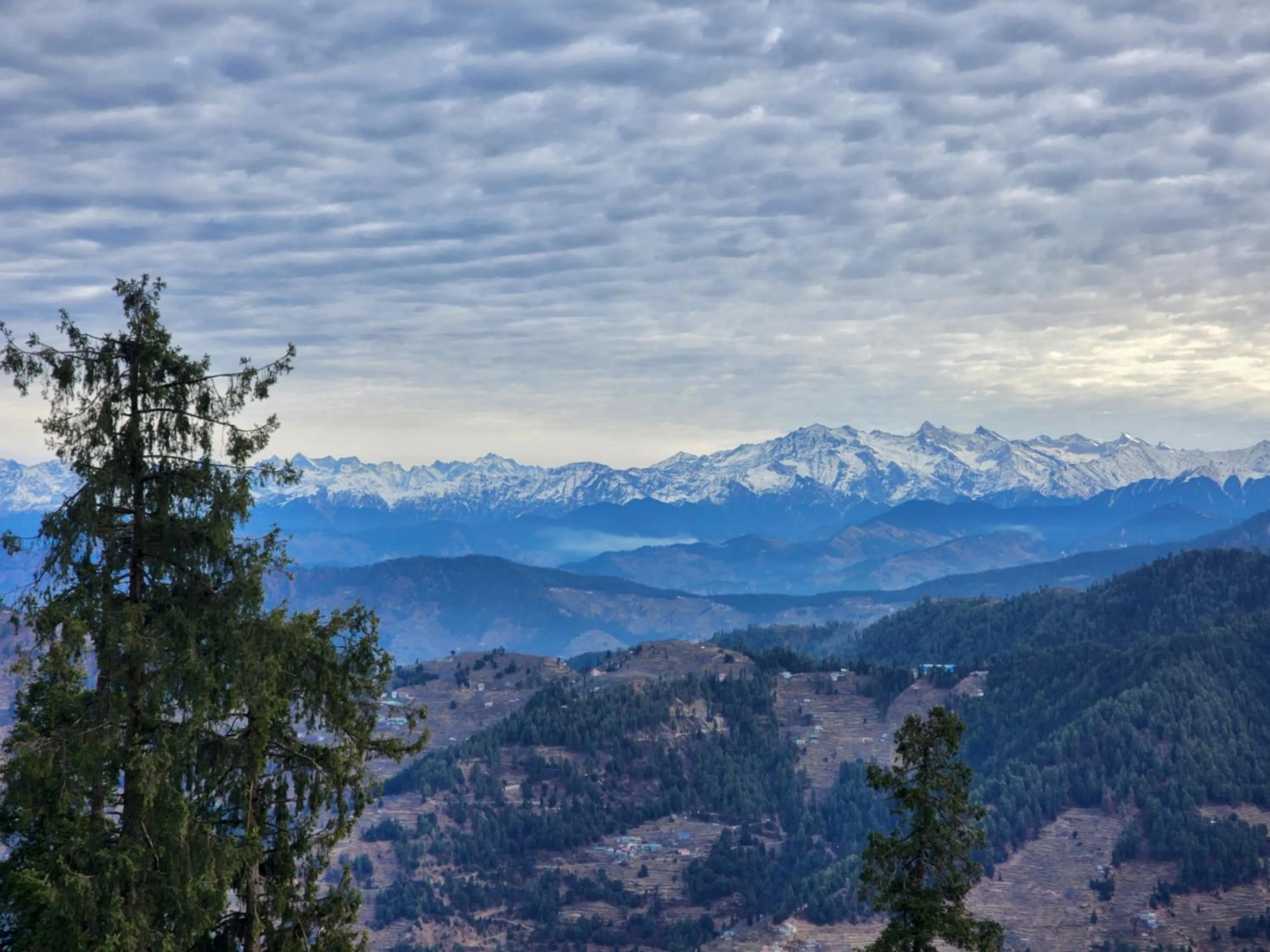 The White Season Residency