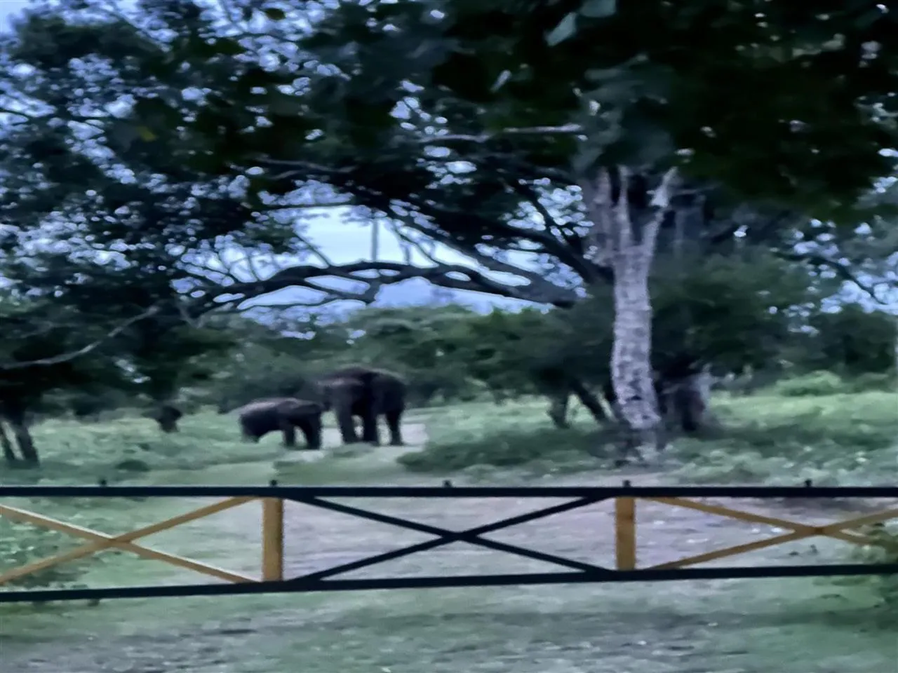 Day in The Wild Farms By Gwestai