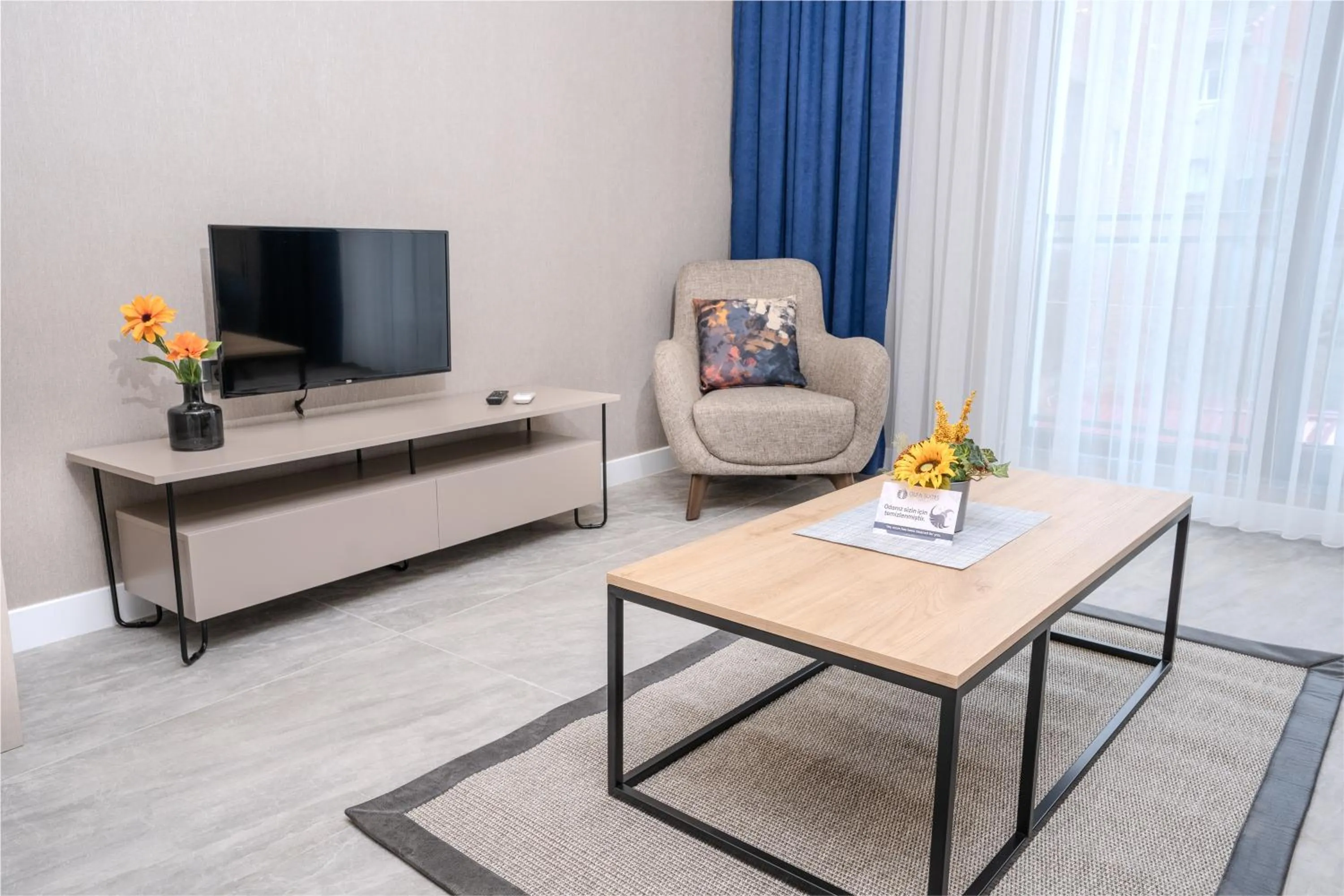 TV and multimedia in Olea Suites Otel