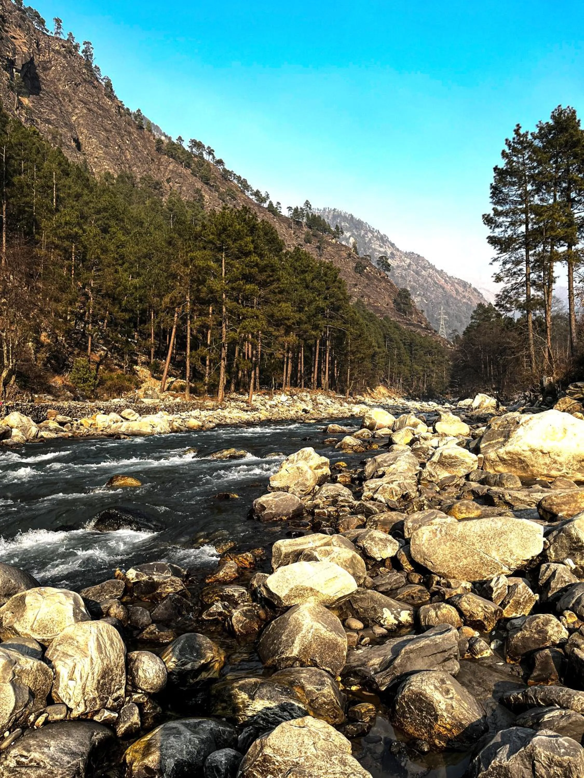 View (from property/room) in Hotel Mid Orchard Kasol -River Side