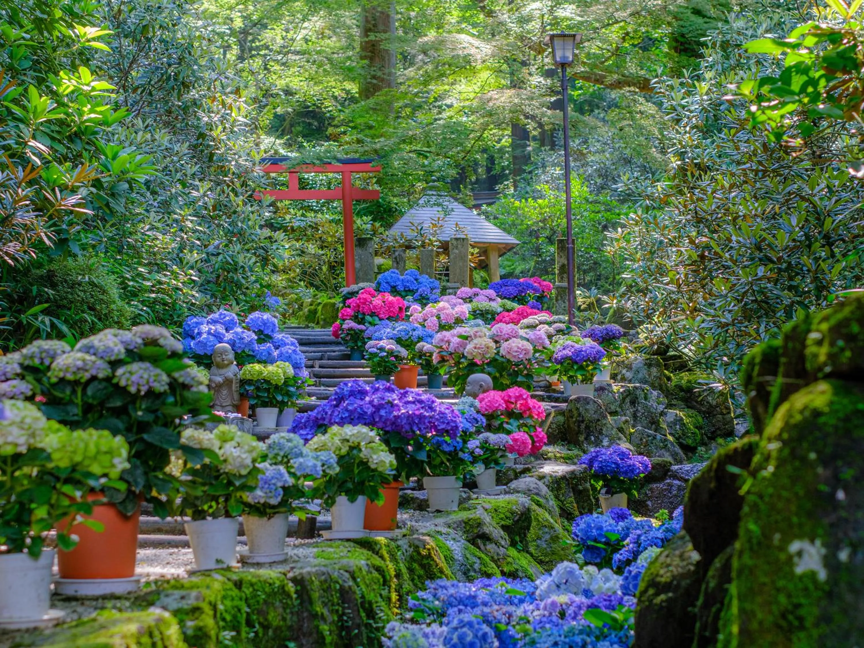 Nearby landmark in Grand Mercure Nara Kashihara