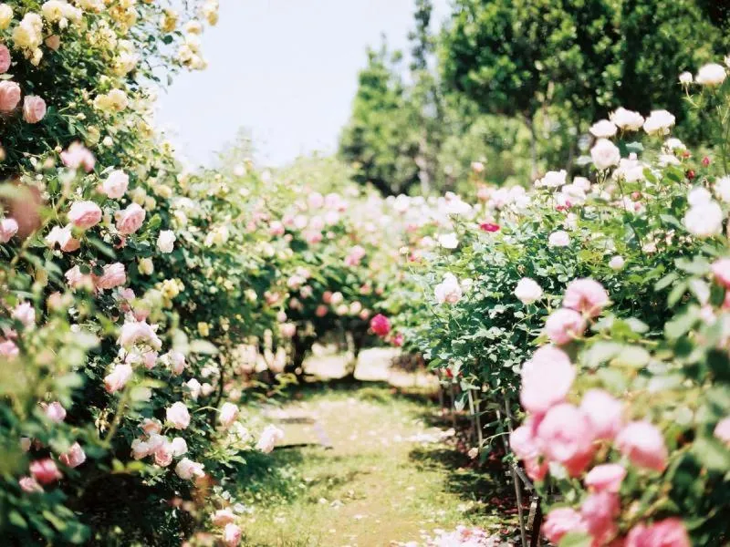 Nearby landmark in Grand Mercure Beppu Bay Resort & Spa