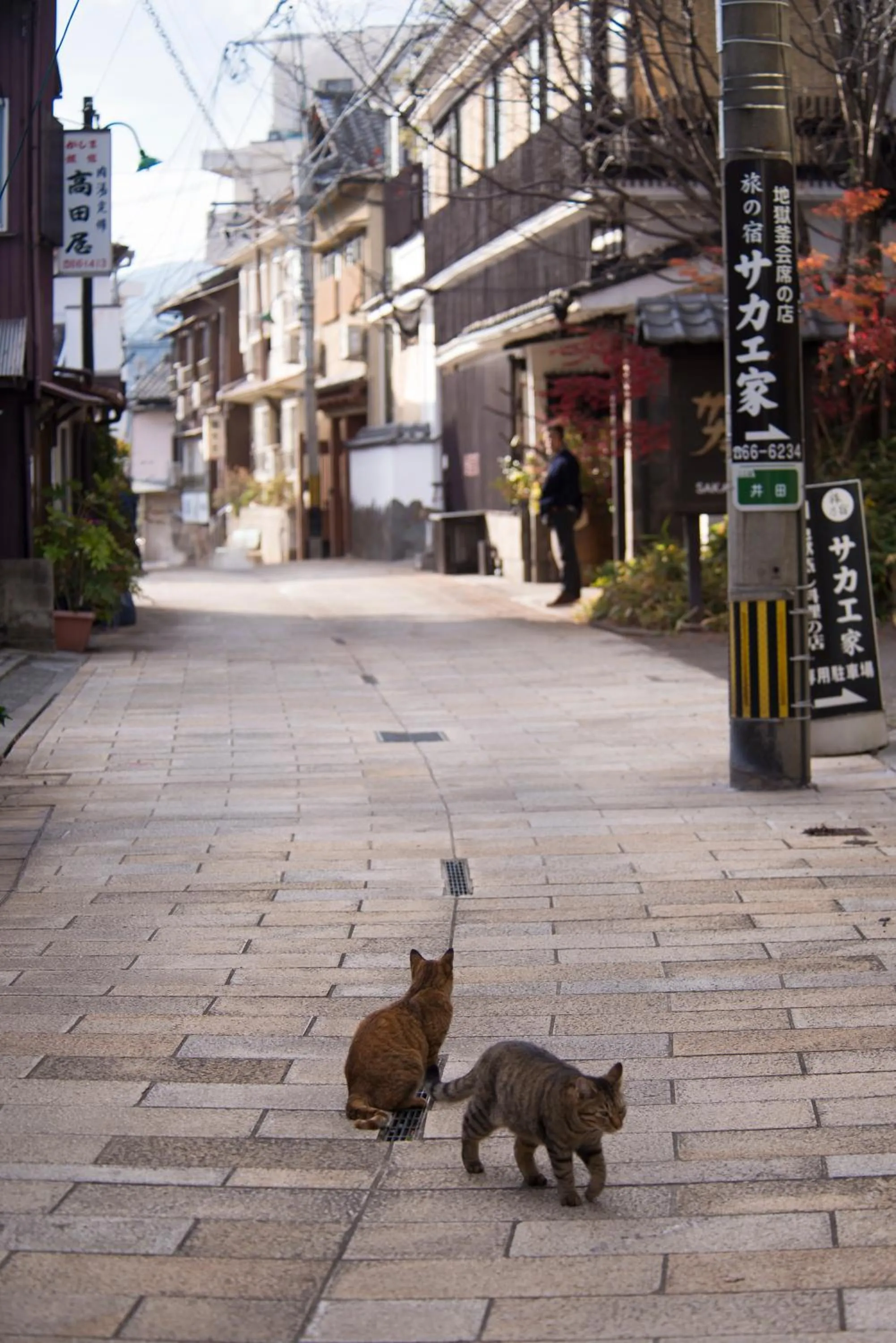 Nearby landmark in Grand Mercure Beppu Bay Resort & Spa
