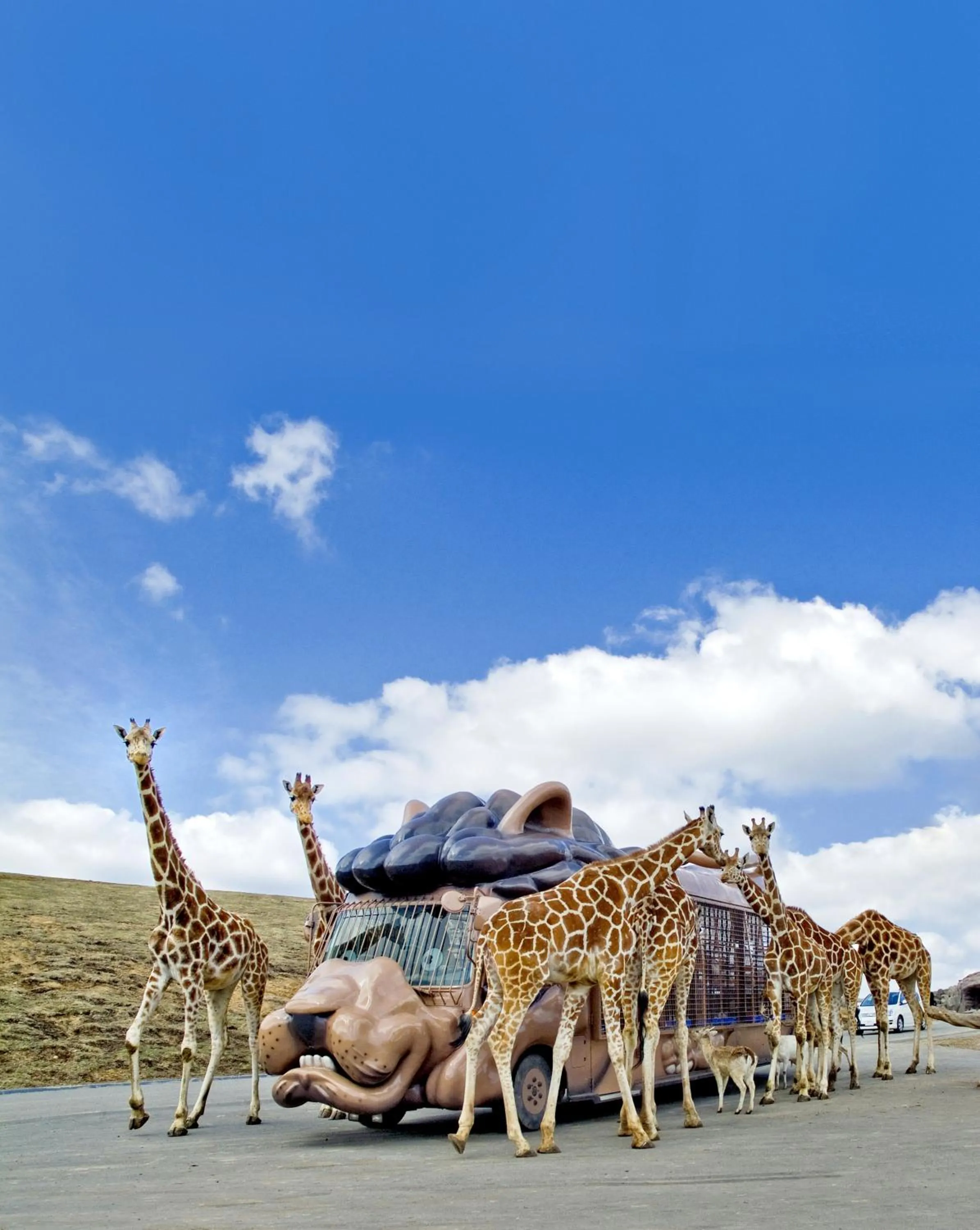 Nearby landmark in Grand Mercure Beppu Bay Resort & Spa