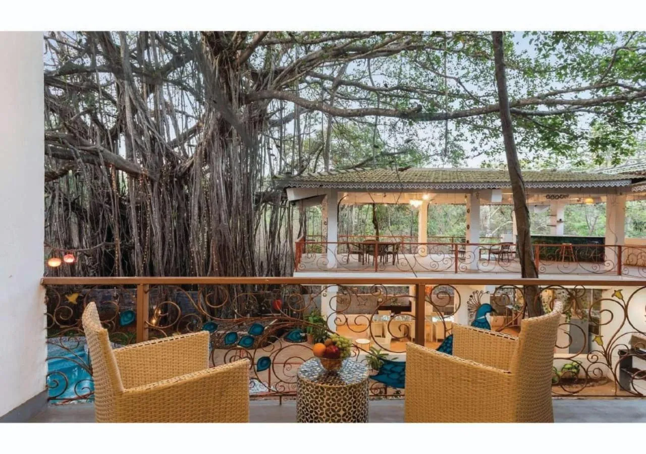 Patio in Vibes Inn Singing Tree