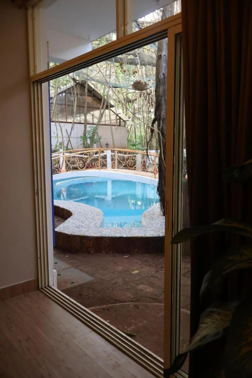 Vibes Inn Singing Tree