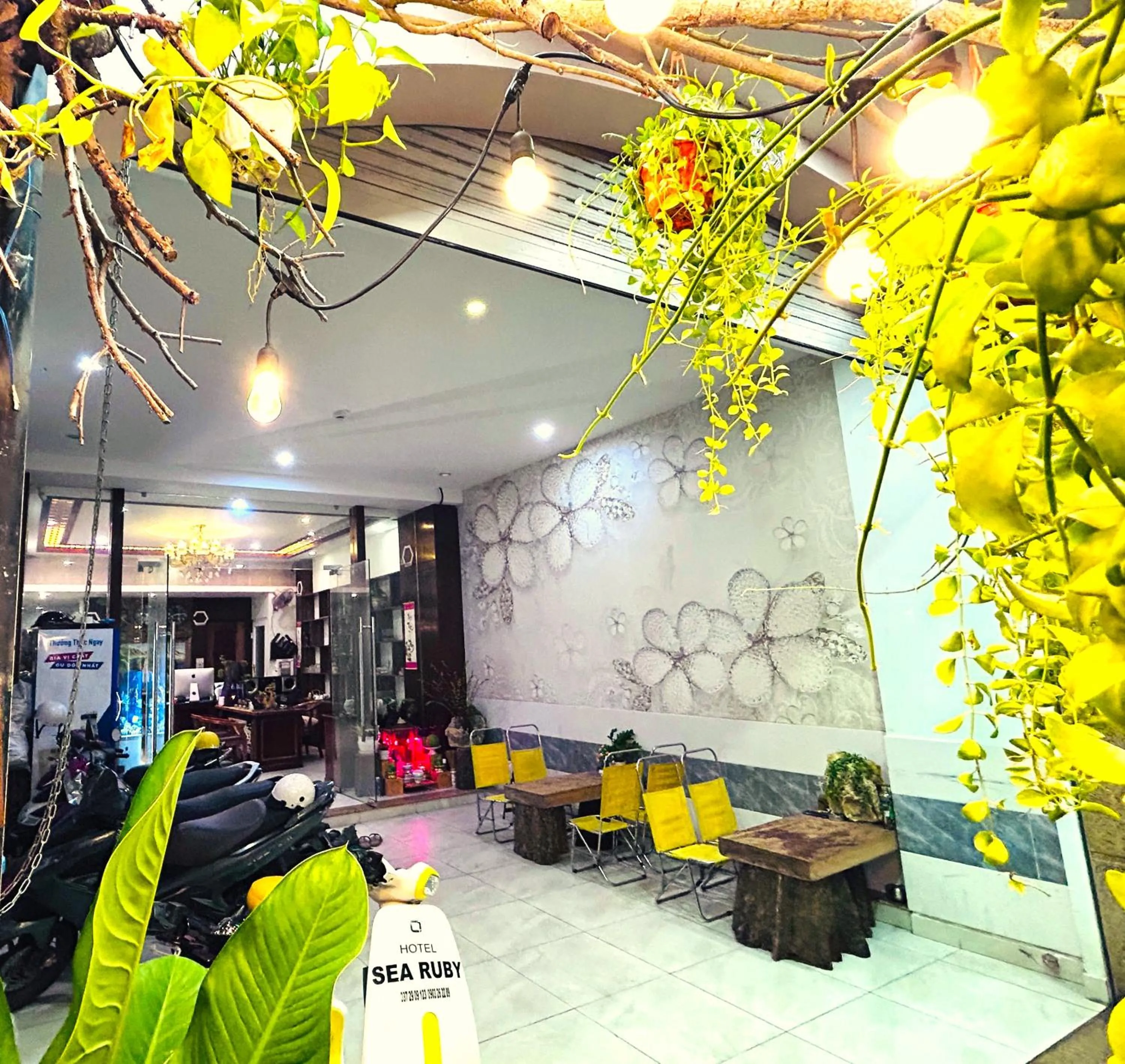 Day in TNH Hotel Vung Tau