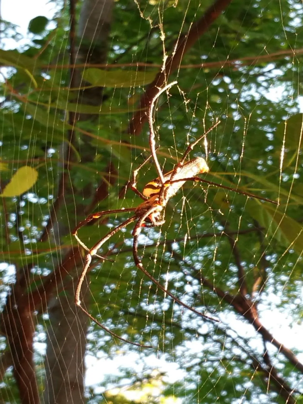 Off site in Cat Tien Jungle Lodge