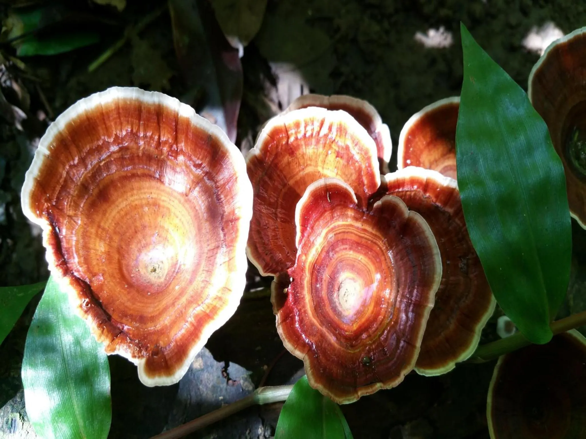 Off site in Cat Tien Jungle Lodge